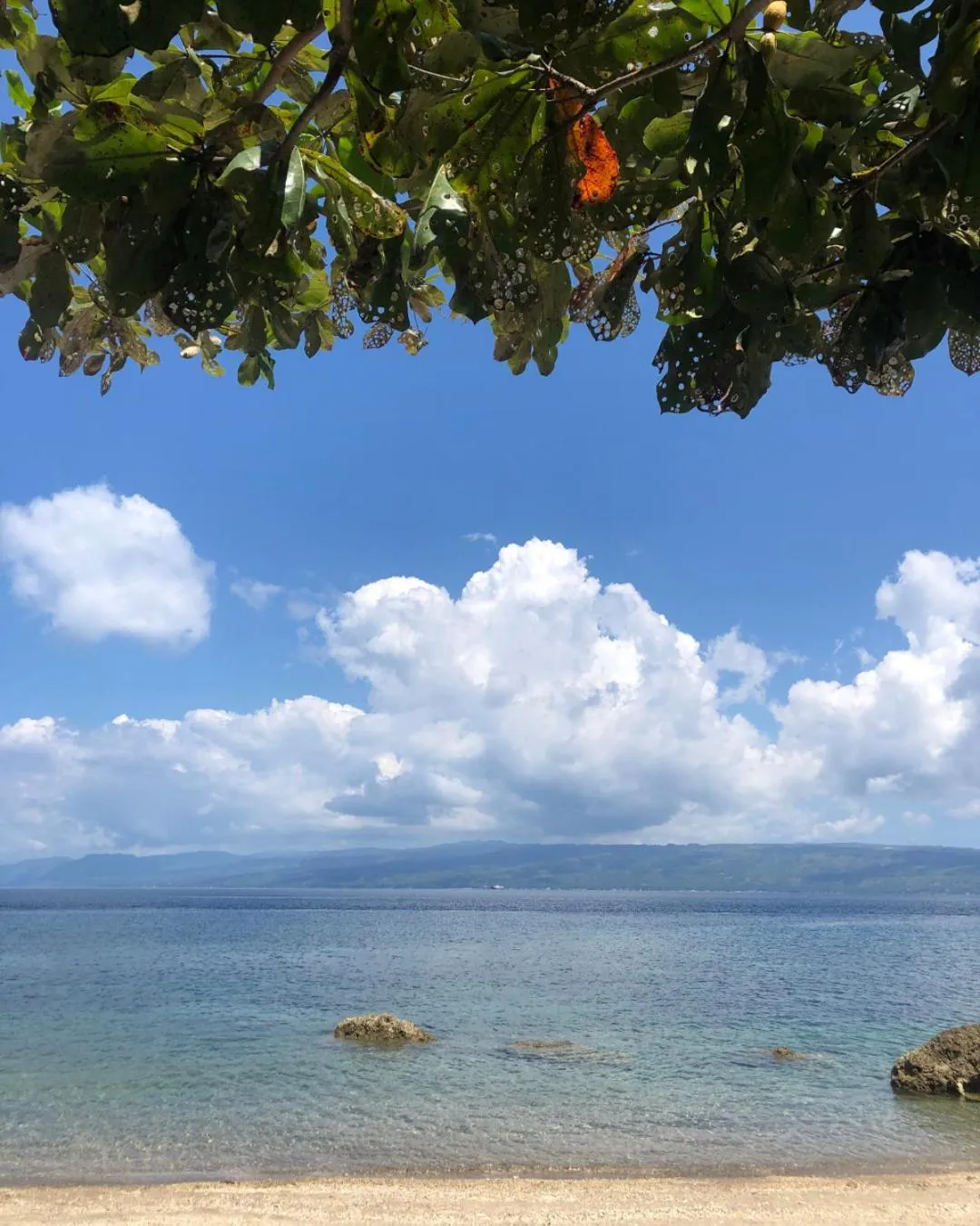 Beach in Wuthering Heights Bed & Breakfast by the Sea