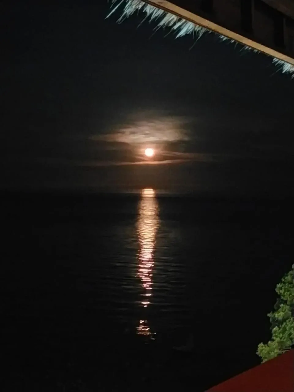 Night in Wuthering Heights Bed & Breakfast by the Sea