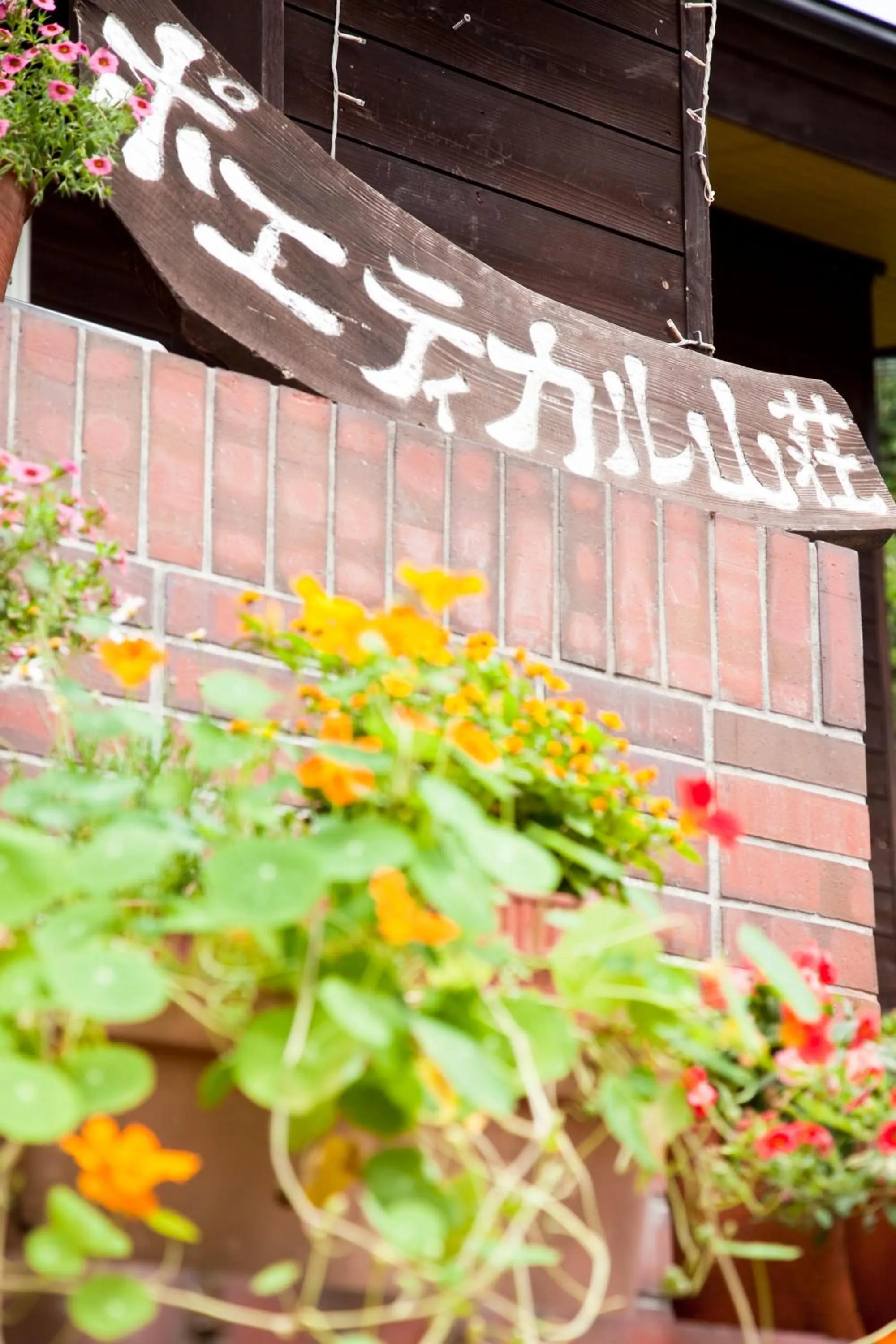 Property building in Poetical