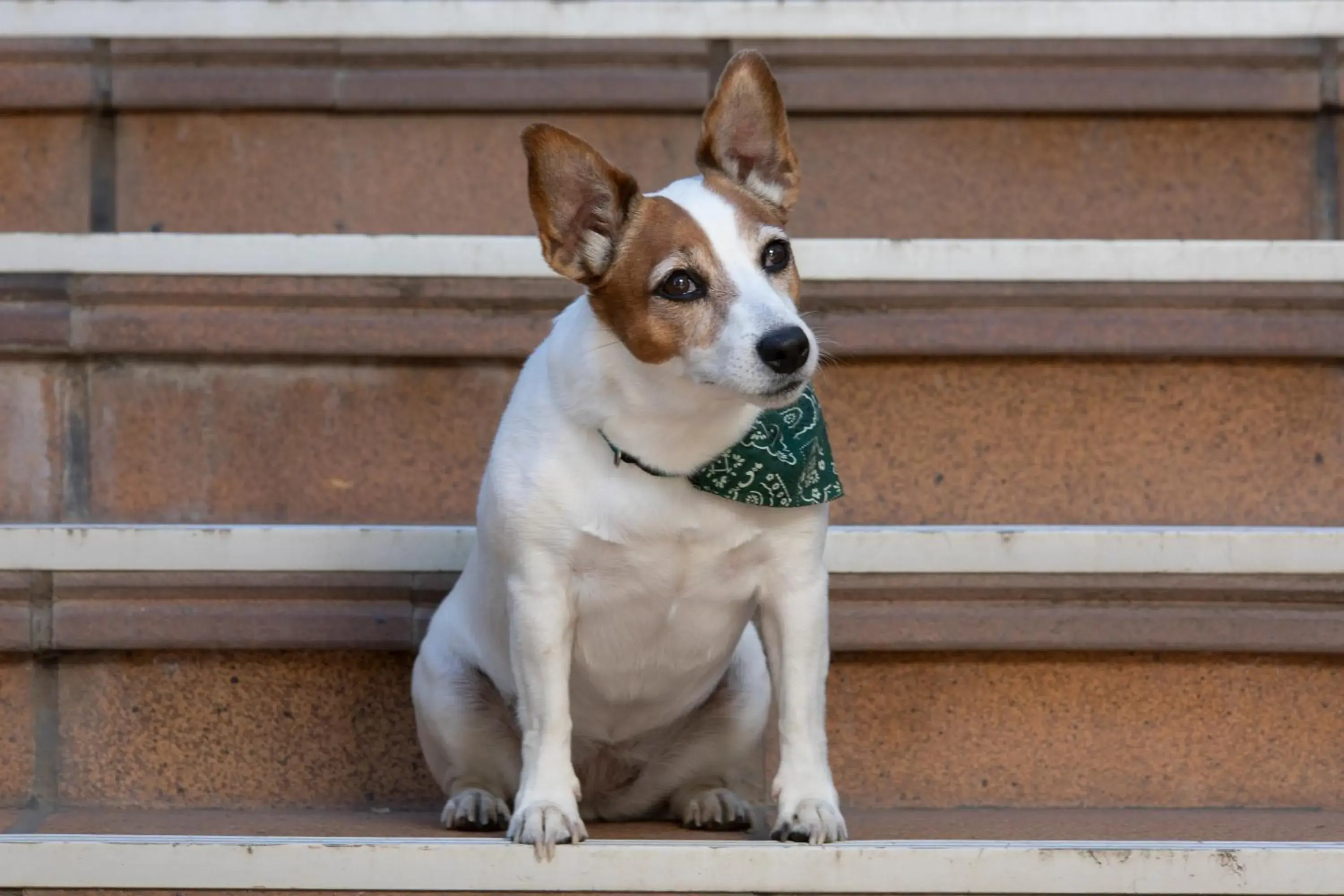 Hotel Rural El Refugio - Solo Adultos Hotel Rural El Refugio - Solo Adultos