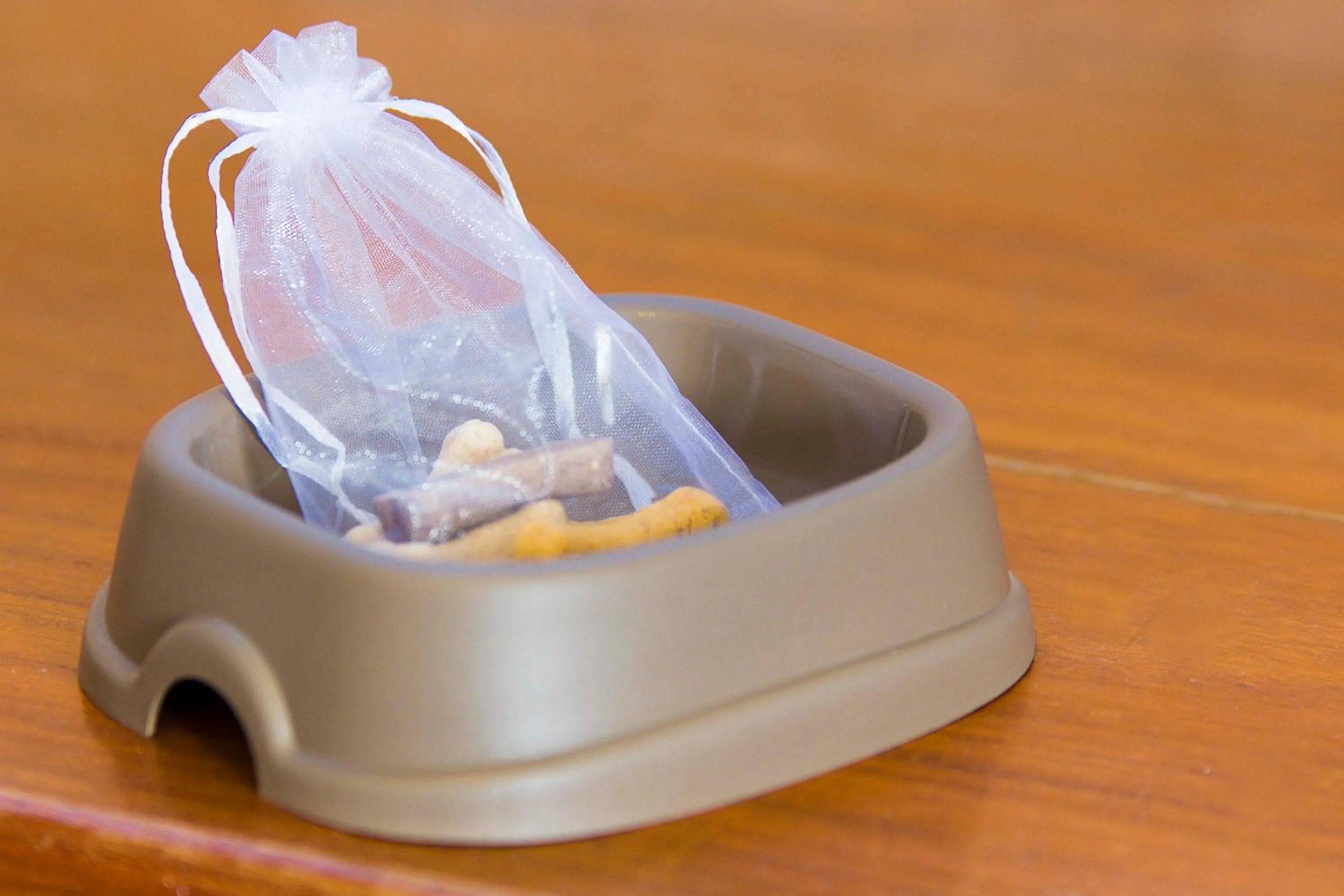 Pets in Hotel Rural El Refugio - Solo Adultos