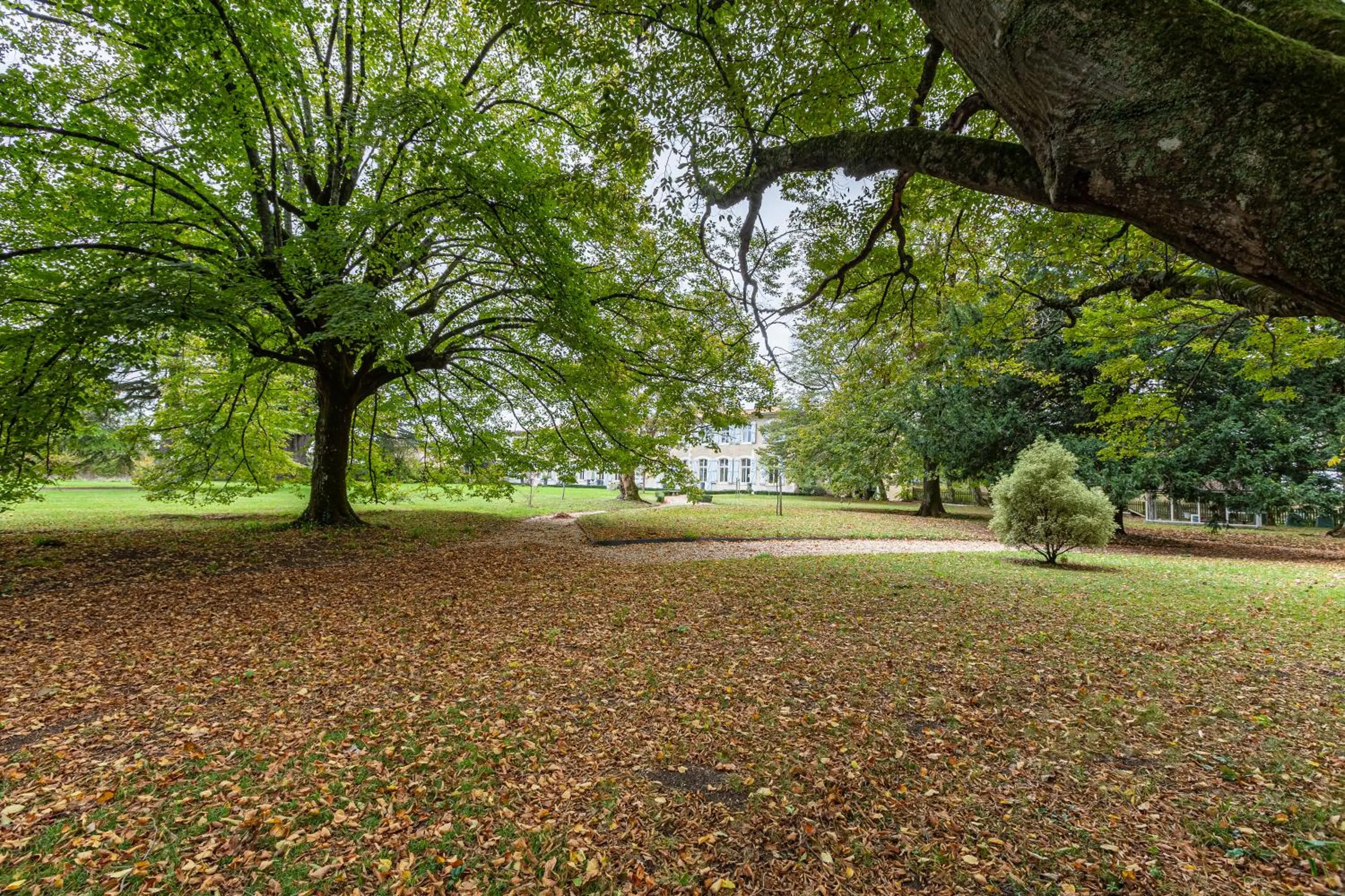Garden in Hôtel Château de Didonne