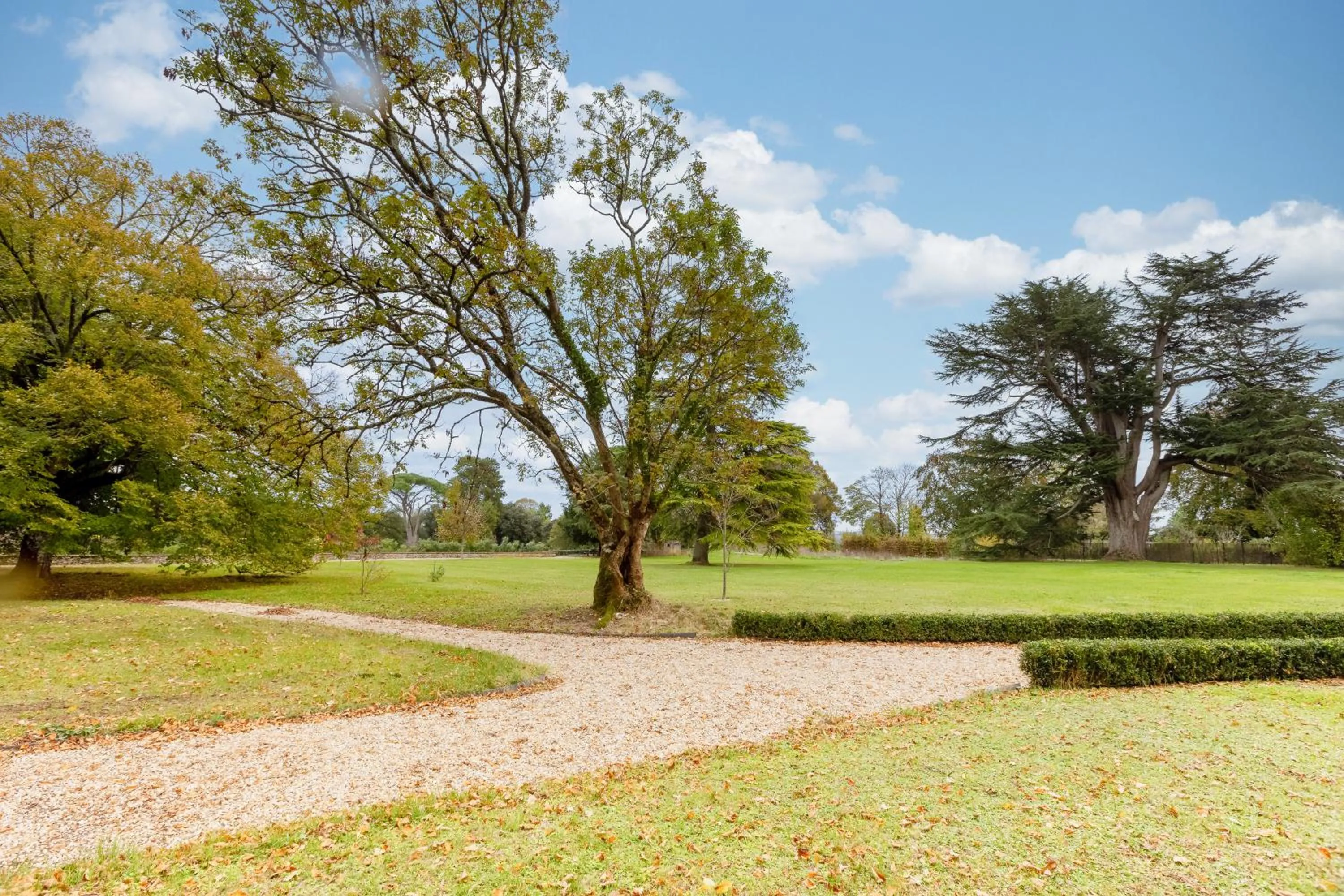 Natural landscape in Hôtel Château de Didonne