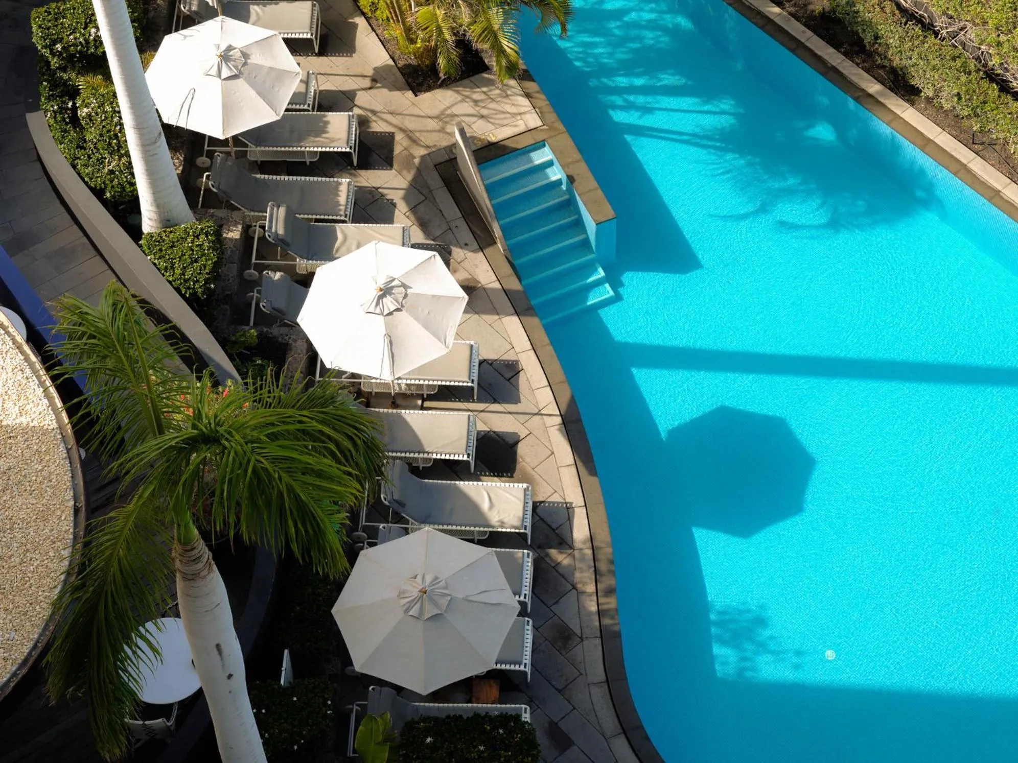 Swimming pool in Bohemia Suites & Spa - Adults Only