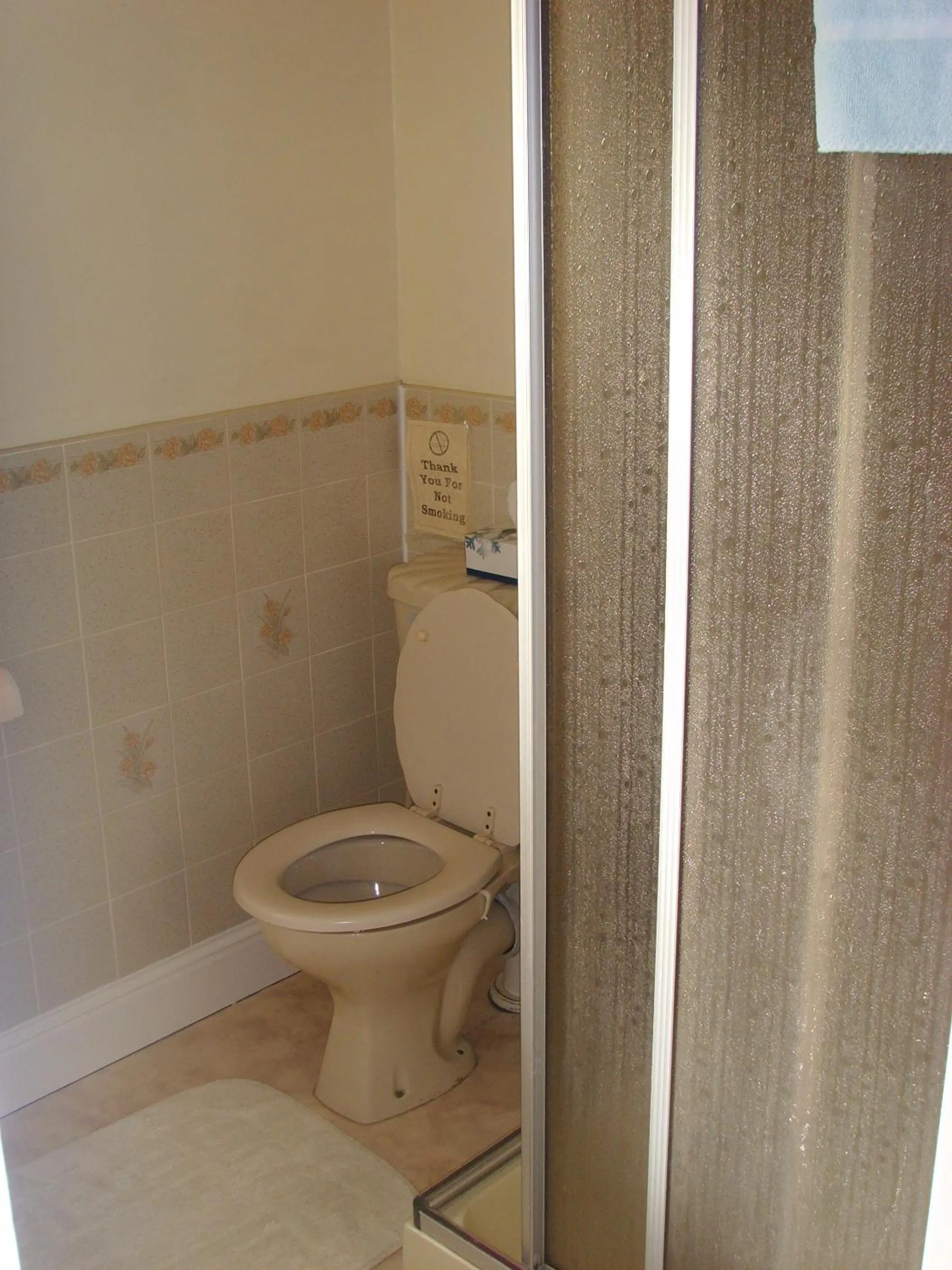 Shower in Springfield House B&B