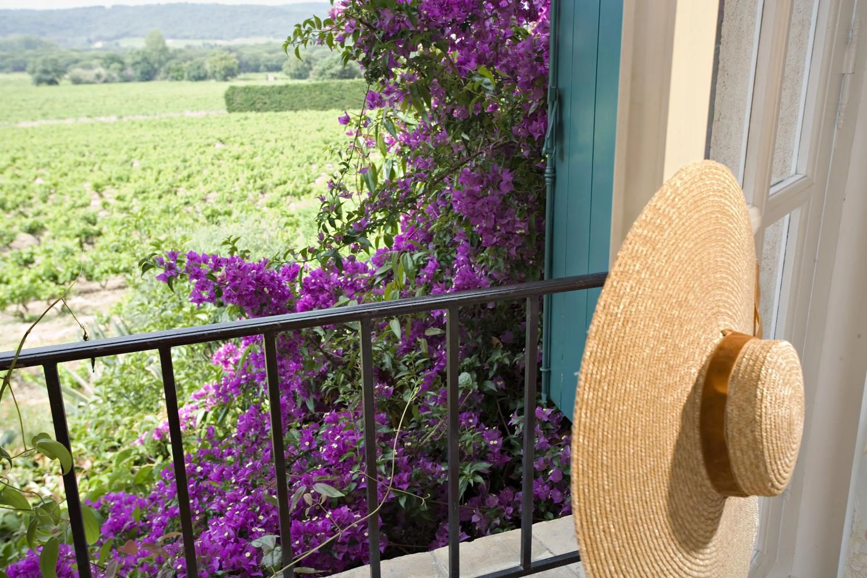 View (from property/room) in Saint-Vincent