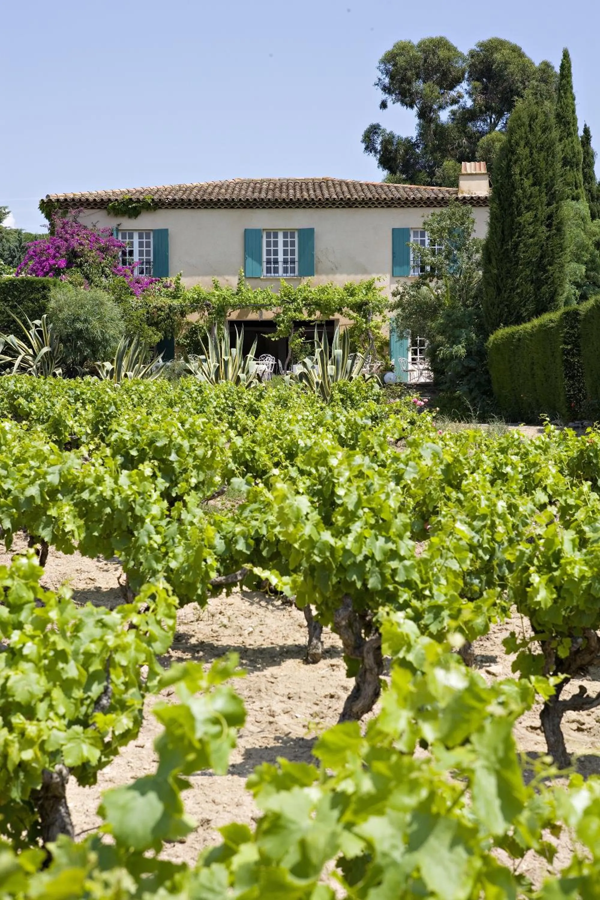 View (from property/room) in Saint-Vincent