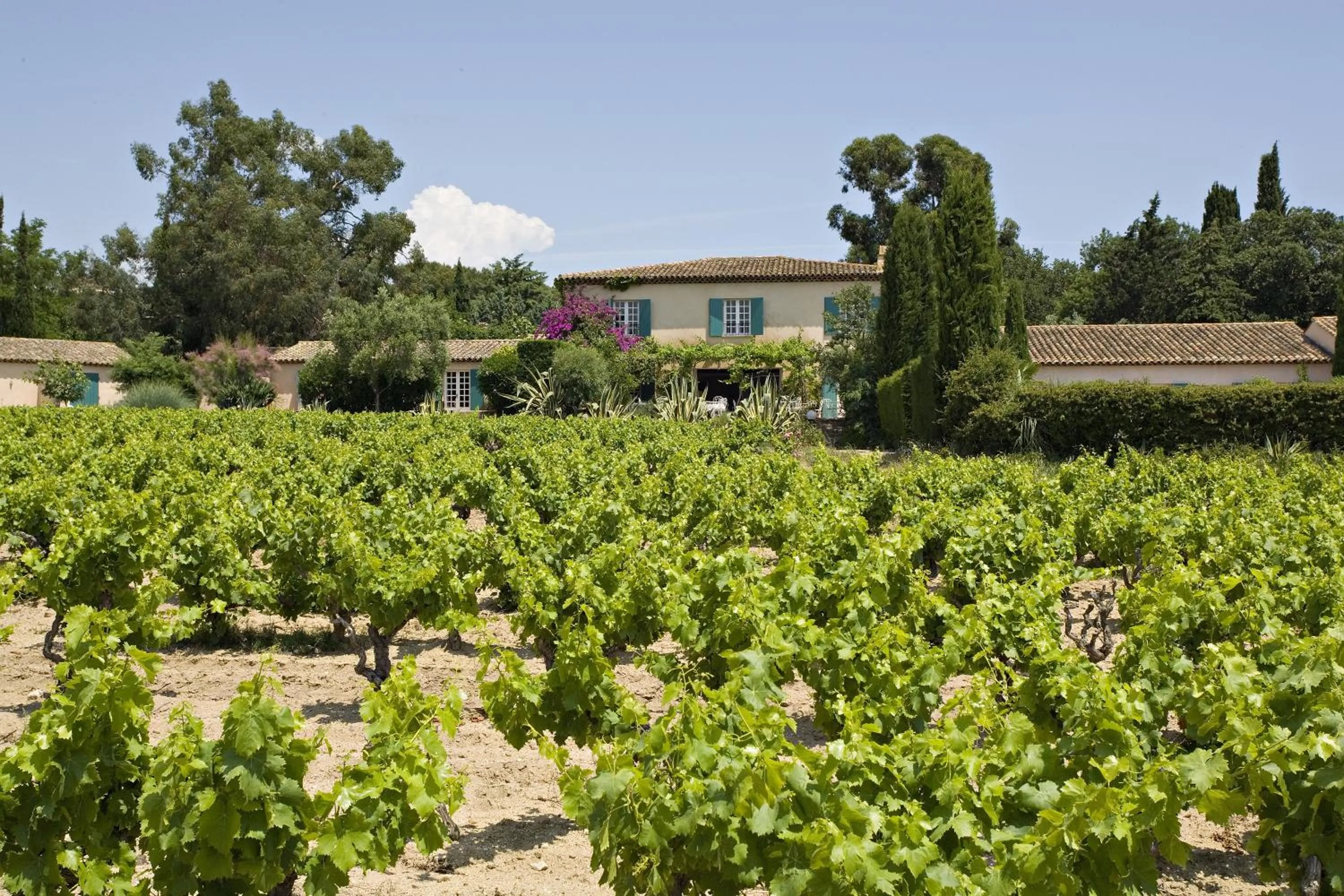 Area and facilities in Saint-Vincent