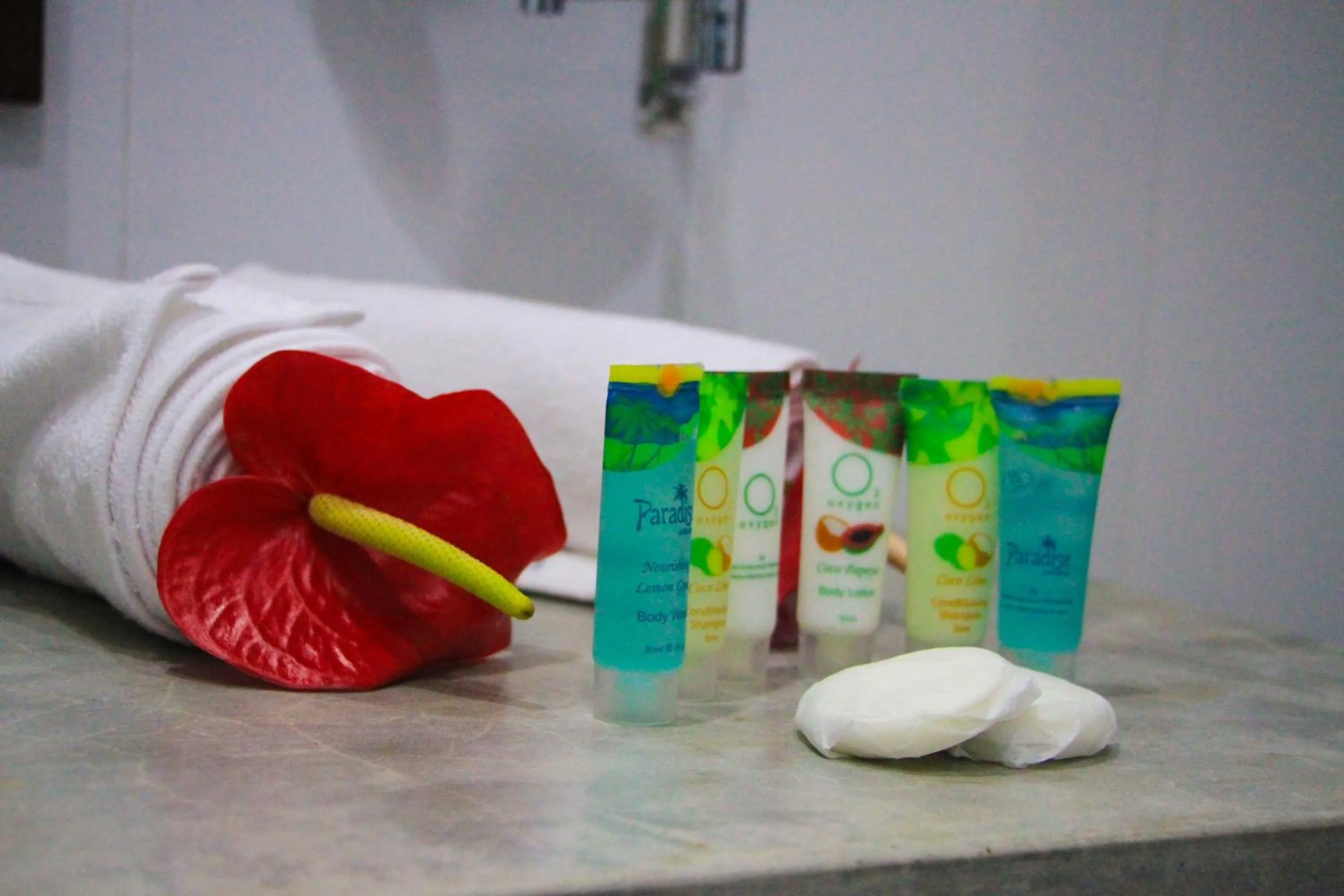 Bathroom in Palmyra Nature Resort Sigiriya