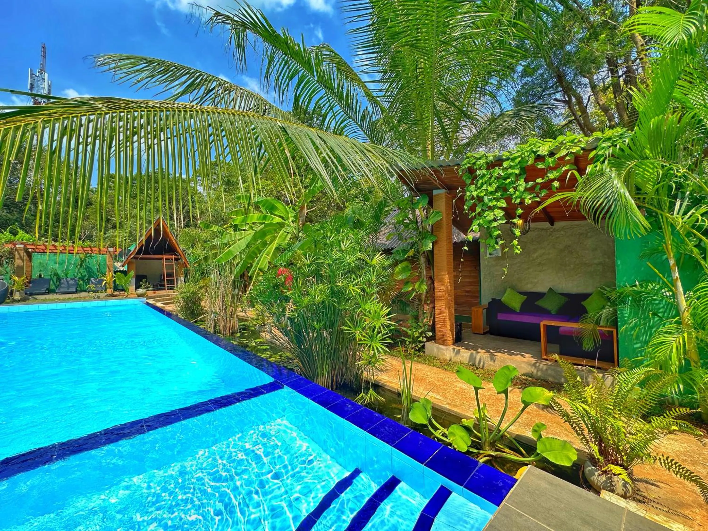 Spring in Palmyra Nature Resort Sigiriya