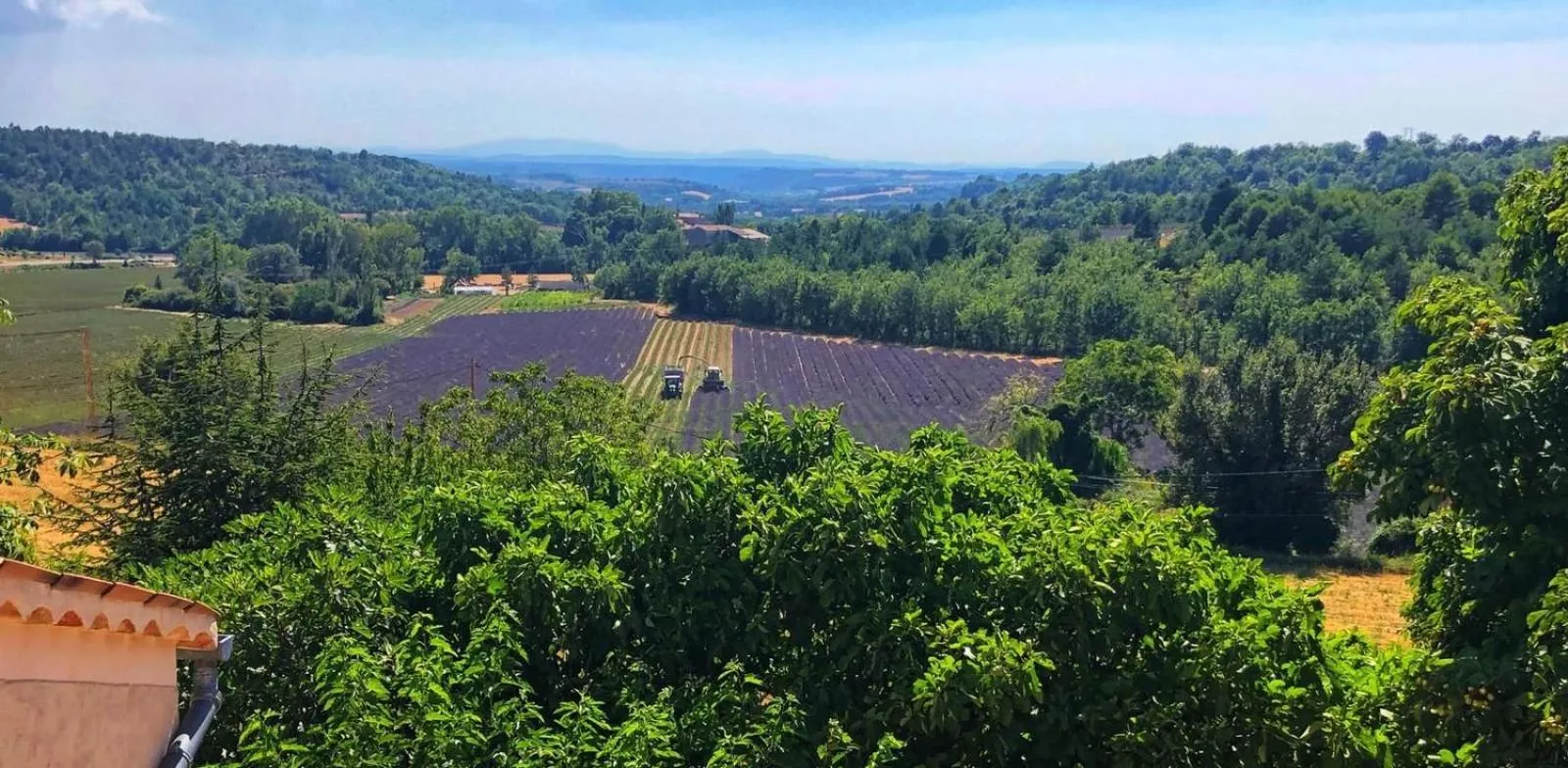 View (from property/room) in La Ferme du petit Ségriès Bed and Breakfast