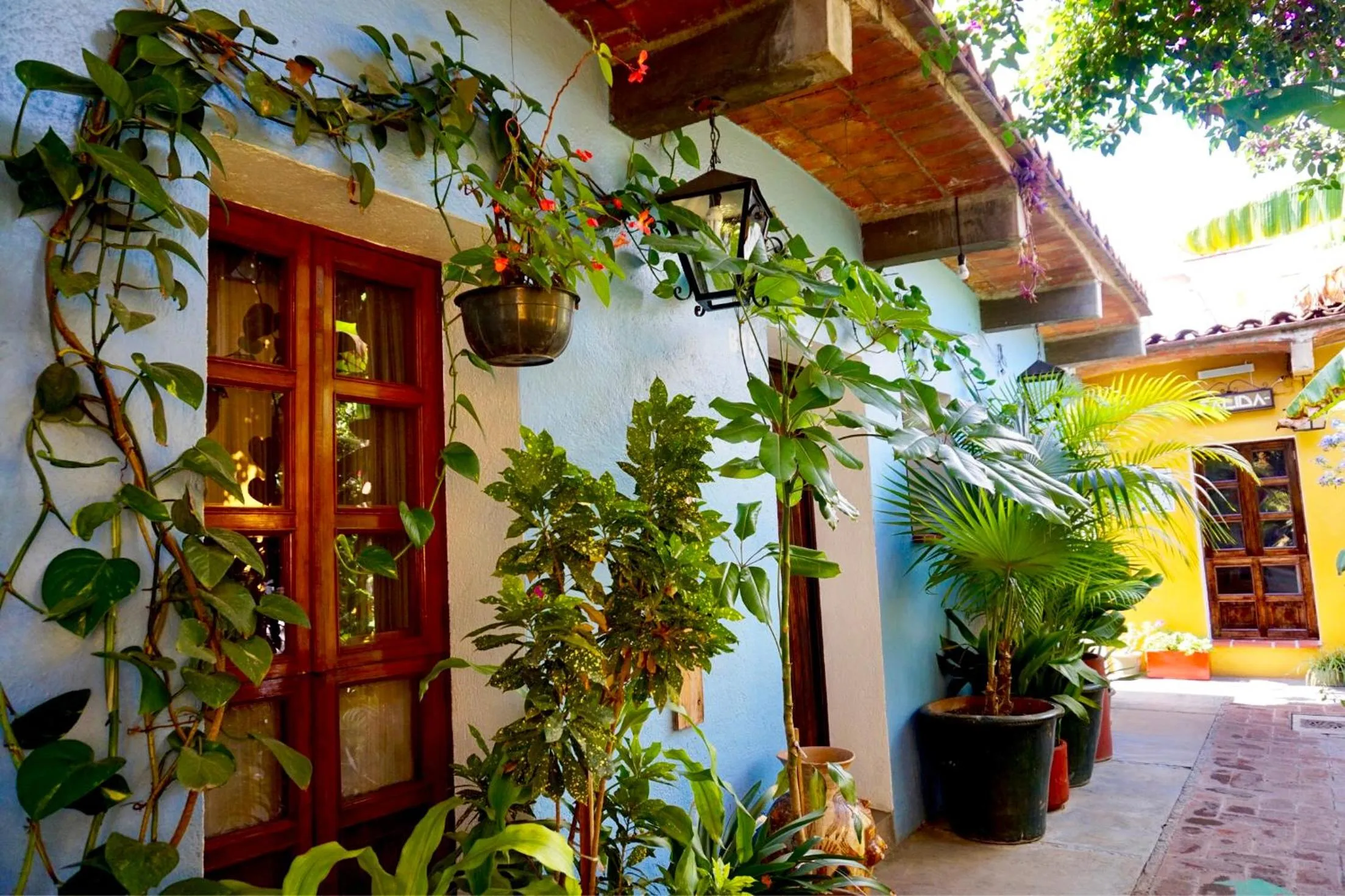 Property building in Hotel Las Golondrinas