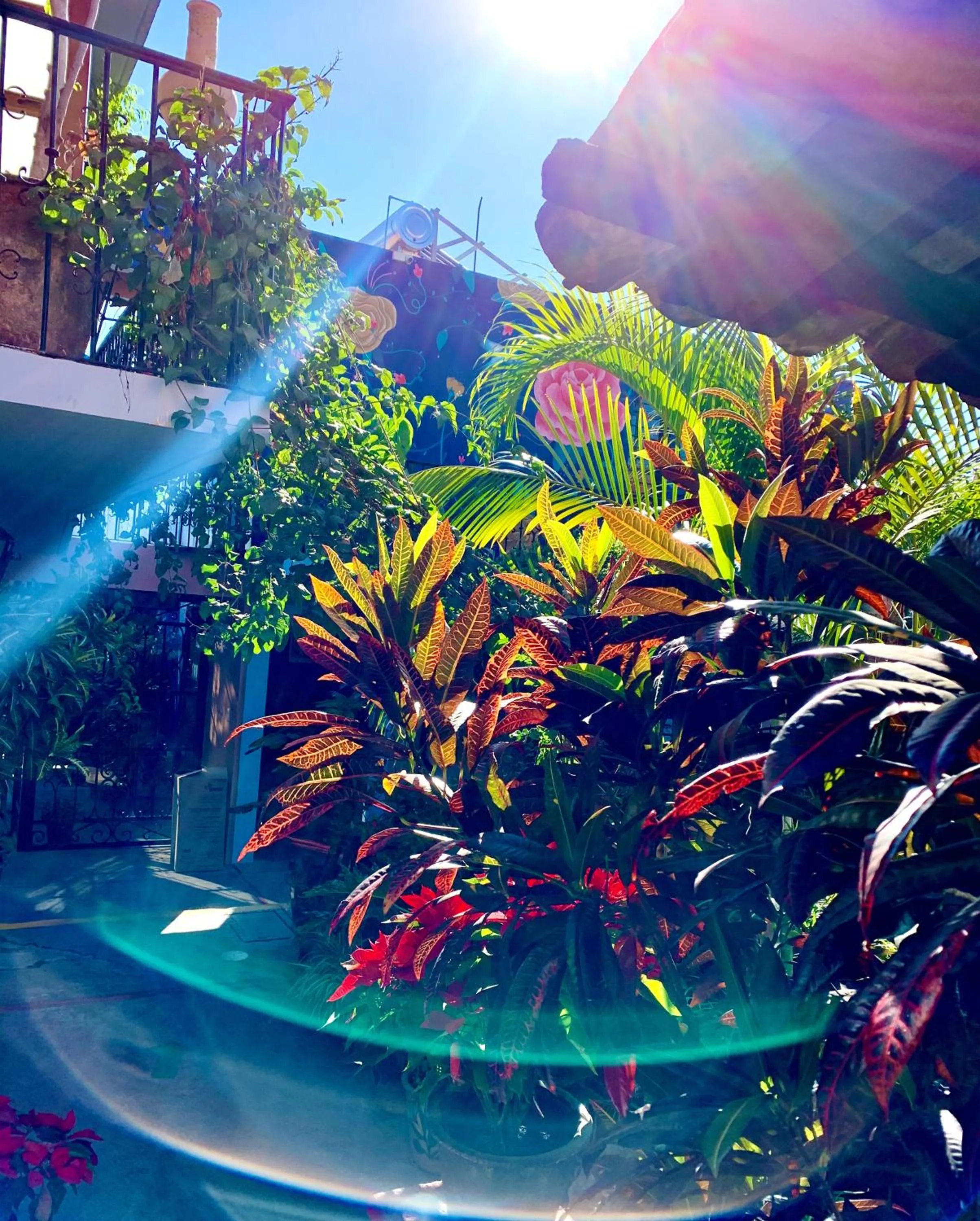 Sunset in Hotel Las Golondrinas