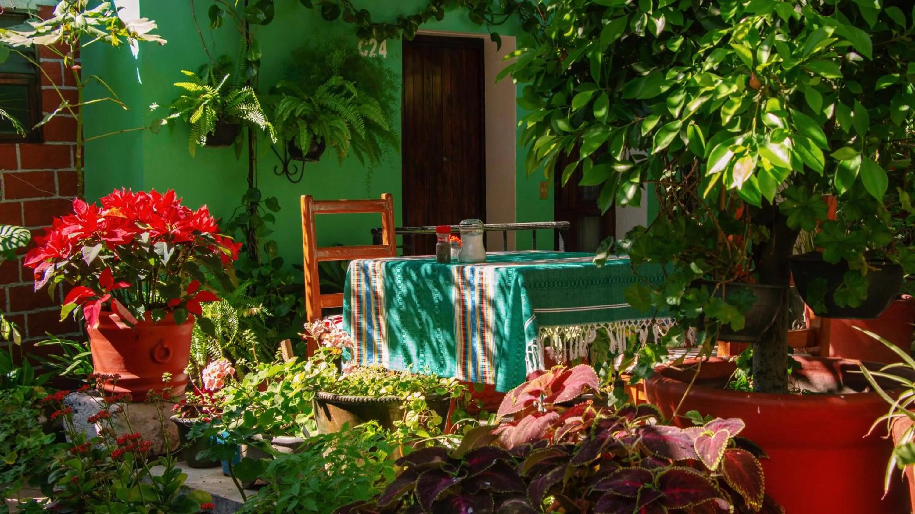 Garden in Hotel Las Golondrinas