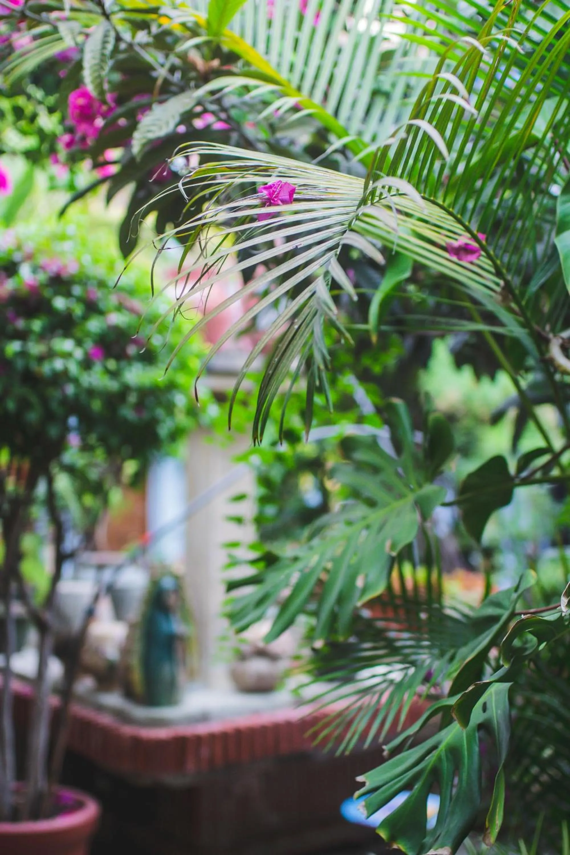 Patio in Hotel Las Golondrinas