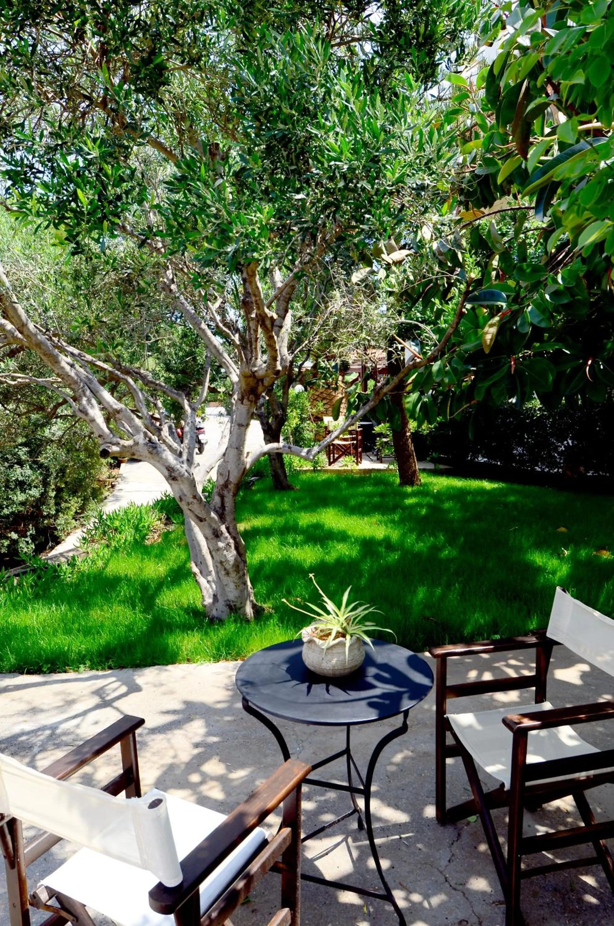 Garden view in Golden Apartments