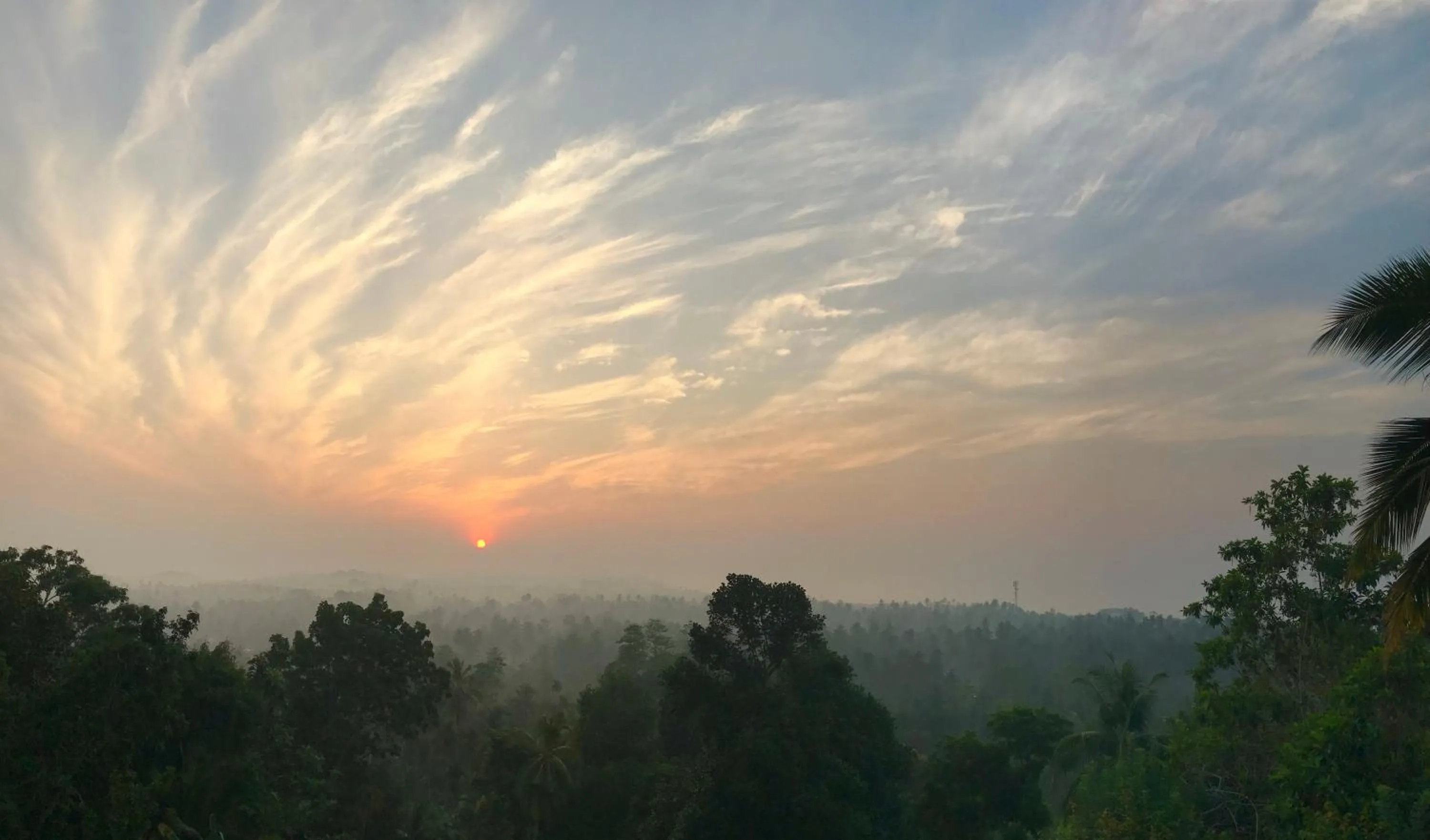 Natural landscape in Tabula Rasa Resort & Spa