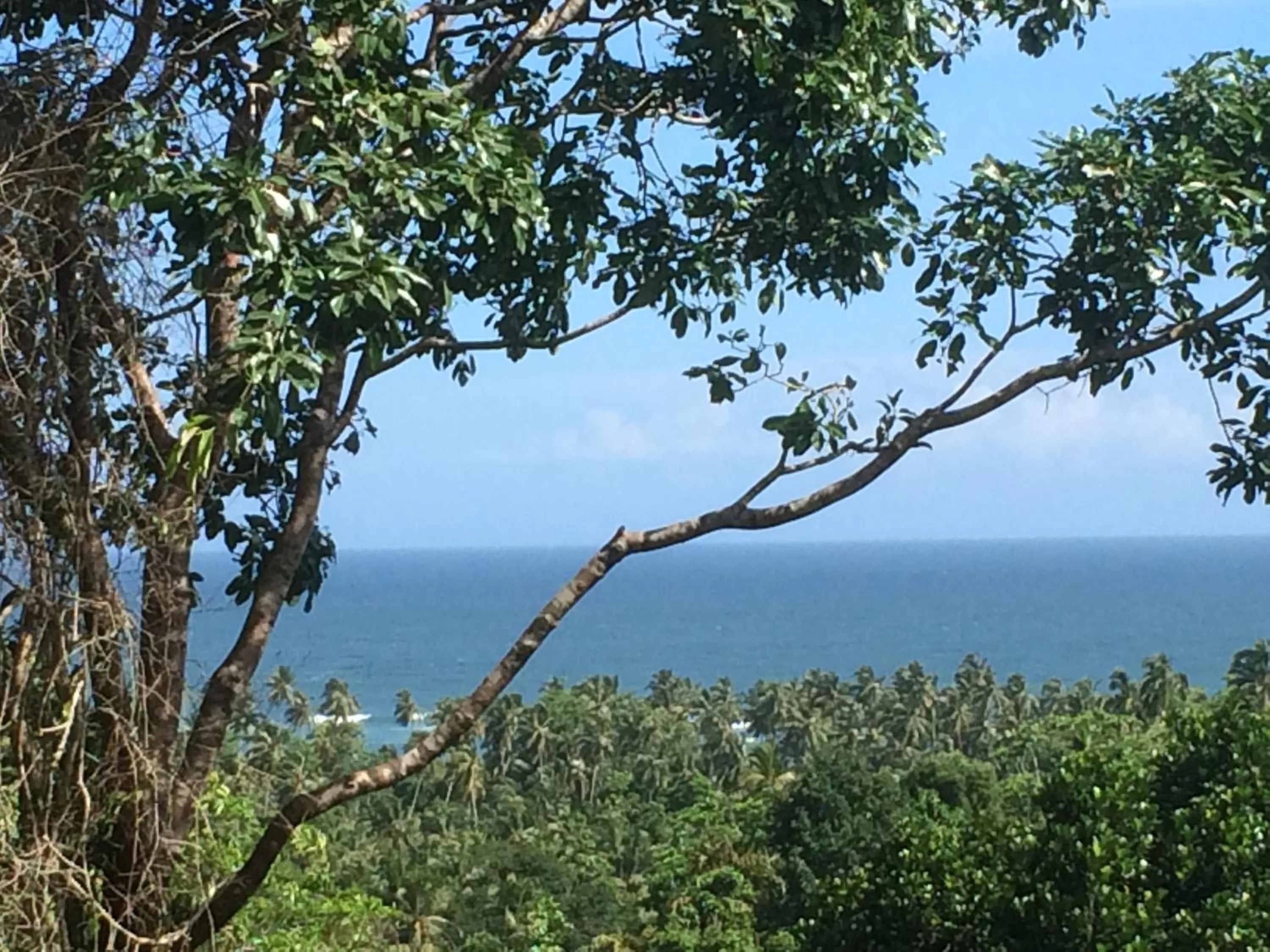 Natural landscape in Tabula Rasa Resort & Spa