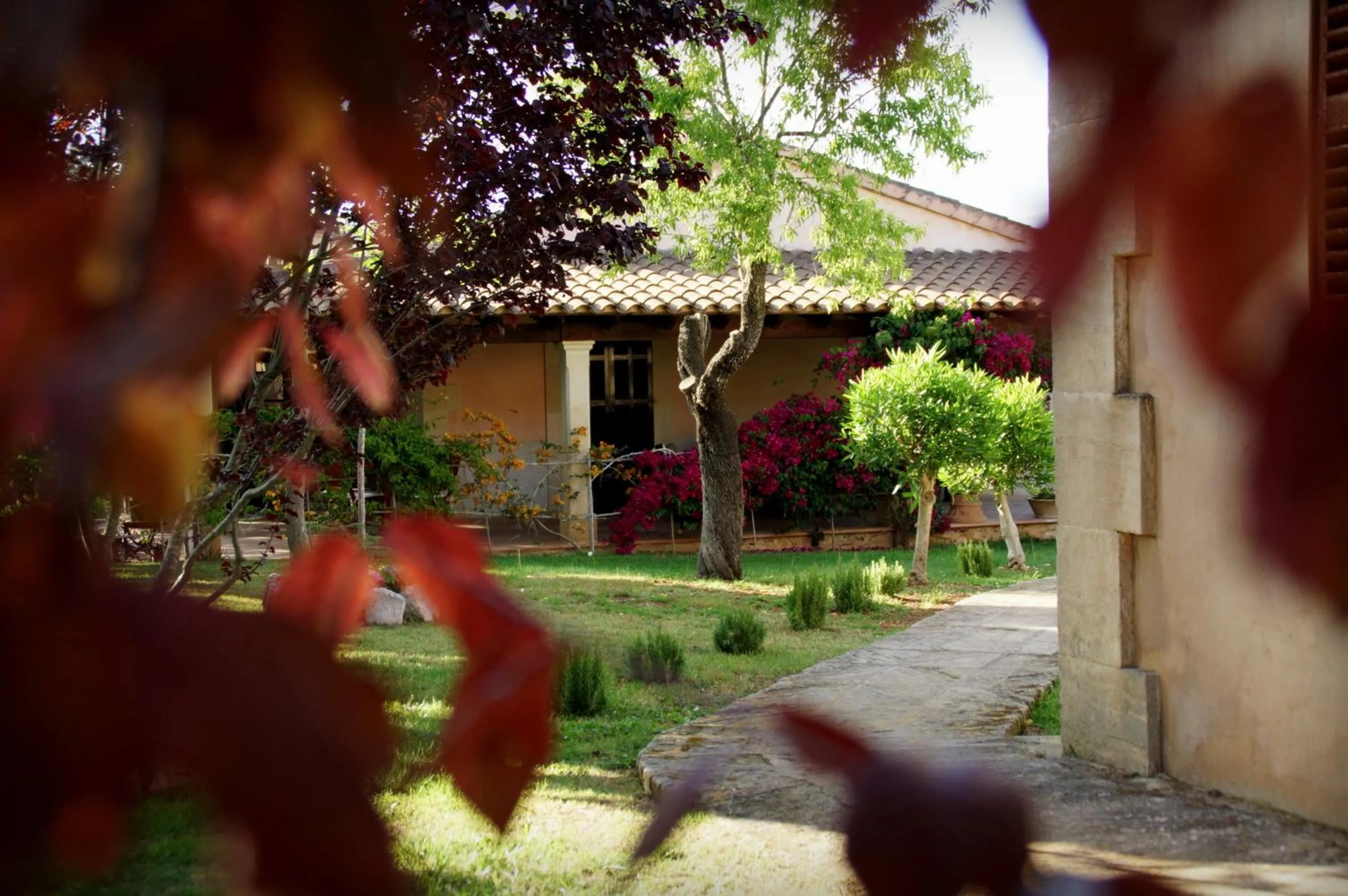 Garden in Aumallia Hotel & Spa