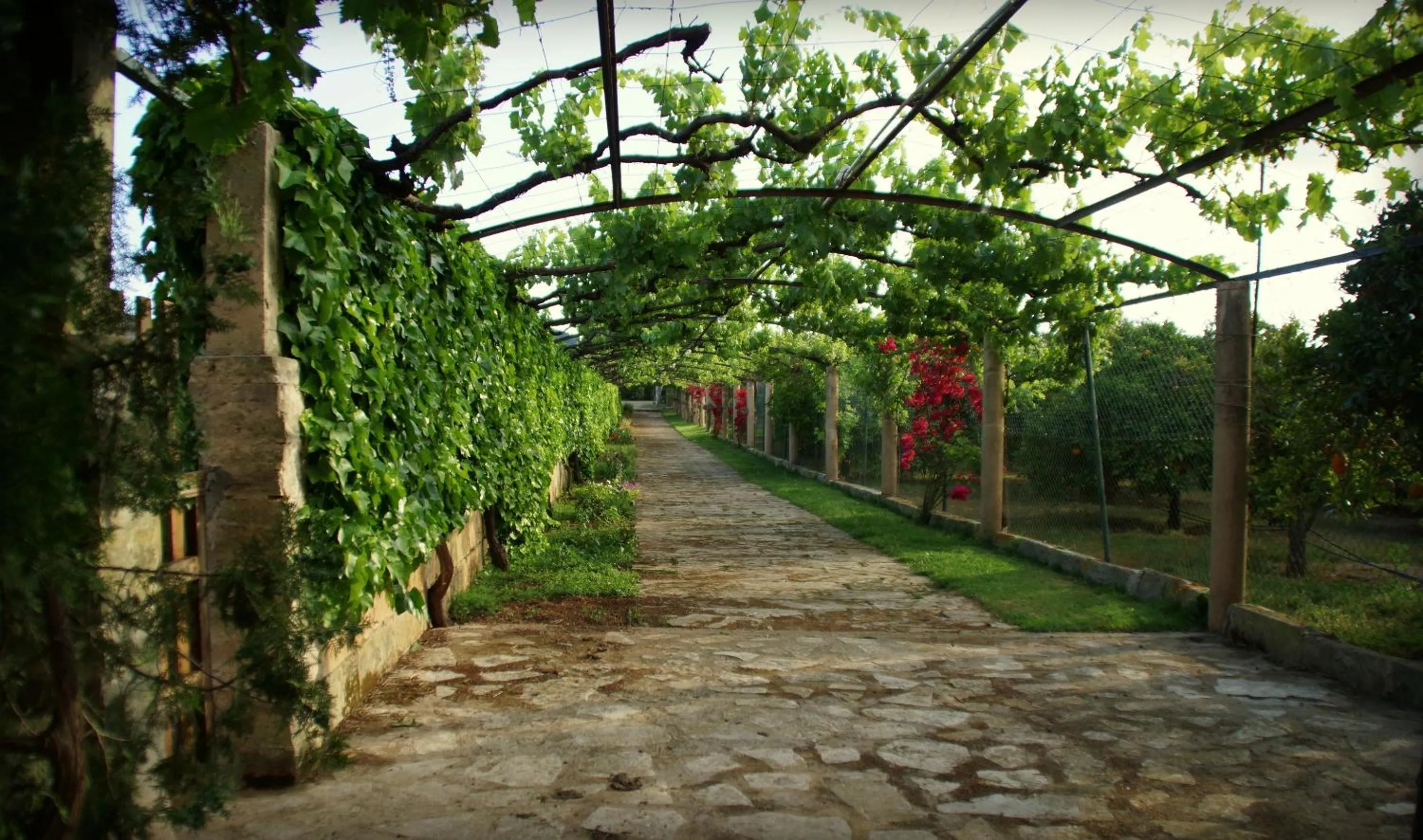 Garden in Aumallia Hotel & Spa