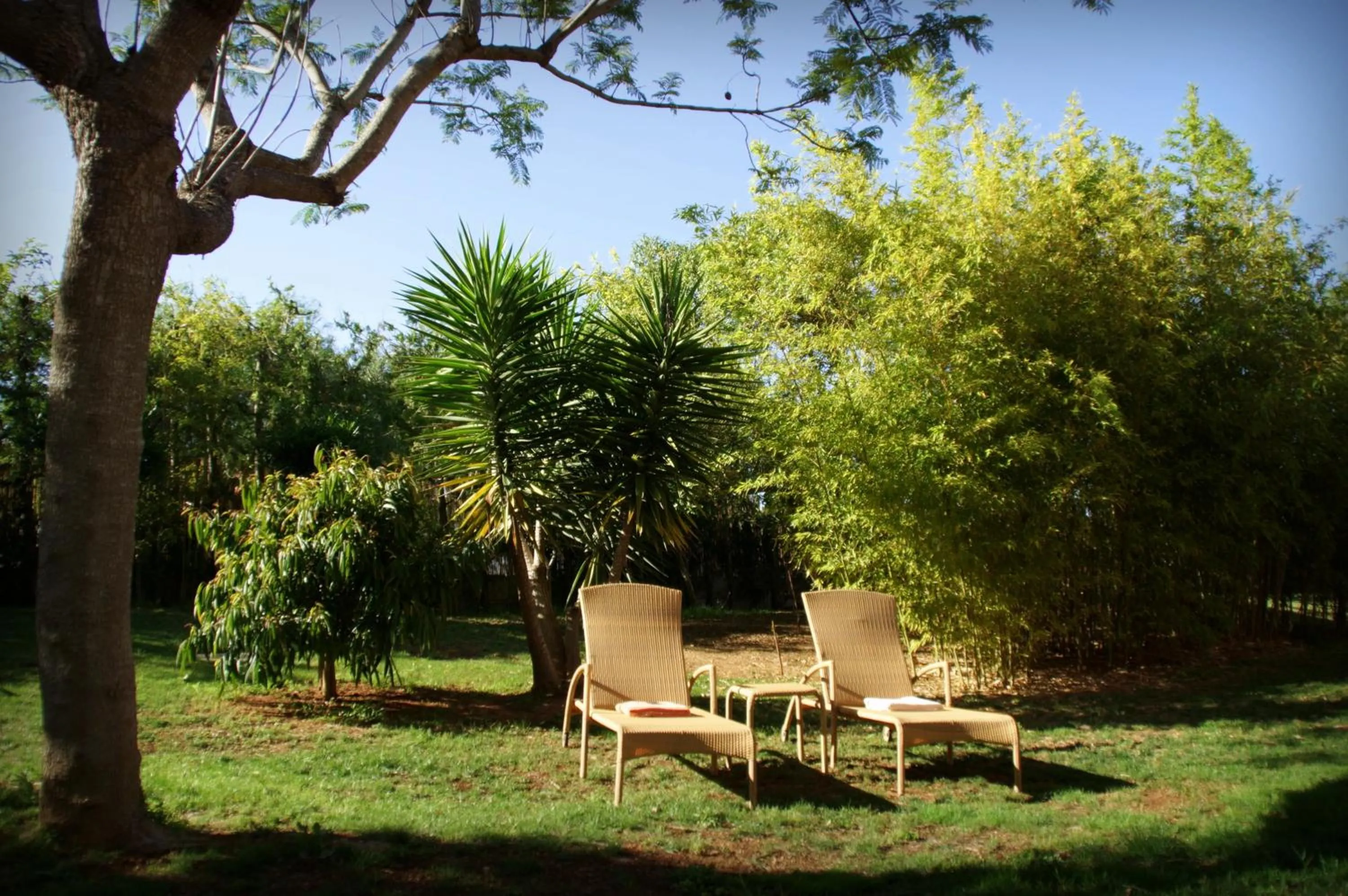 Garden in Aumallia Hotel & Spa