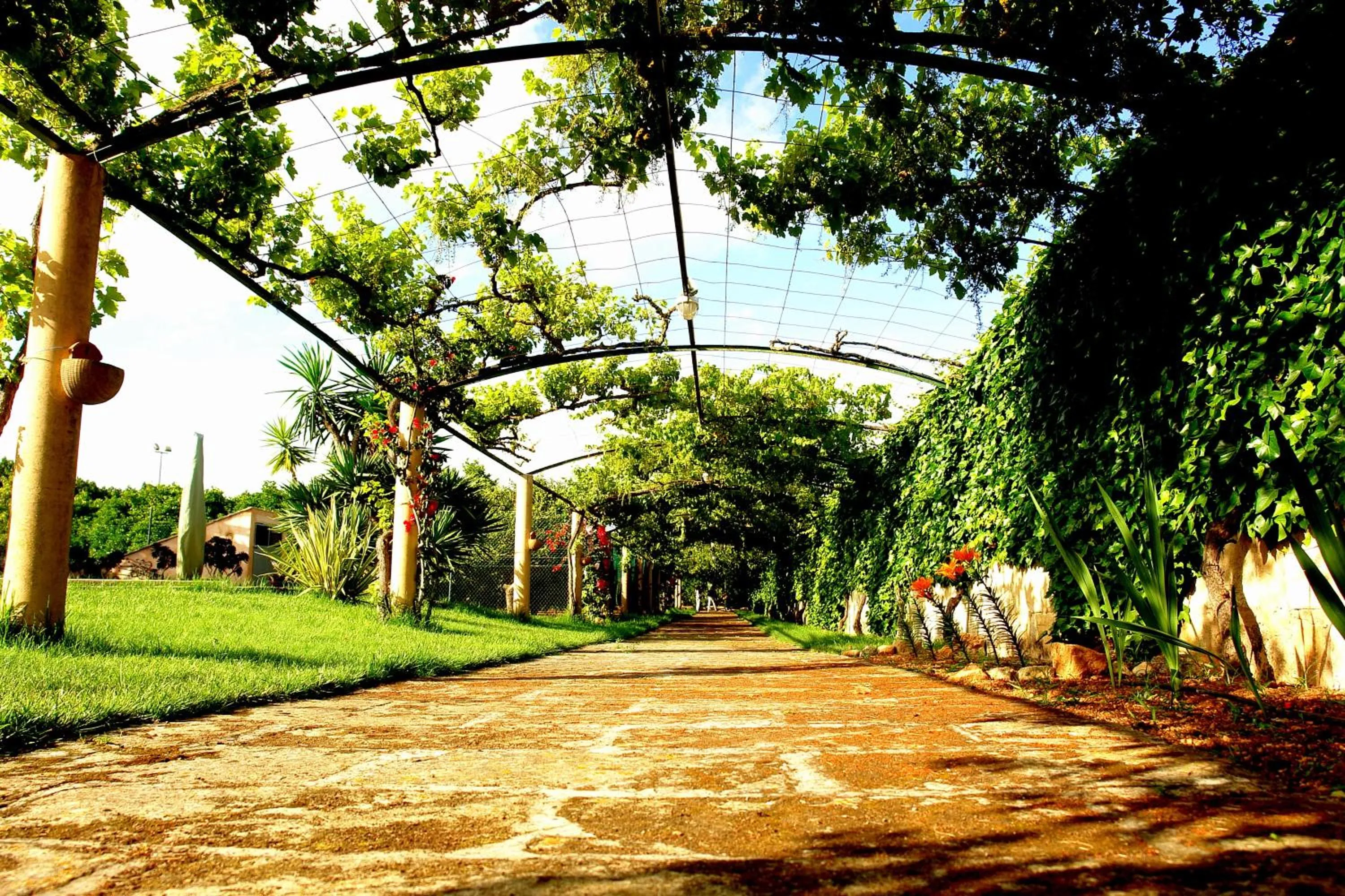 Garden in Aumallia Hotel & Spa