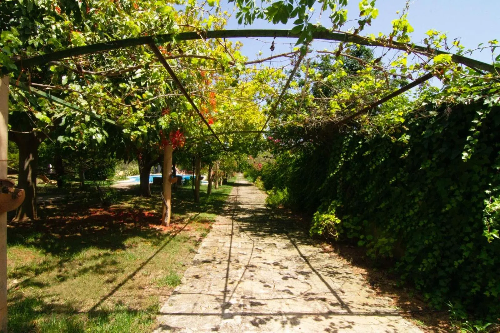 Garden in Aumallia Hotel & Spa