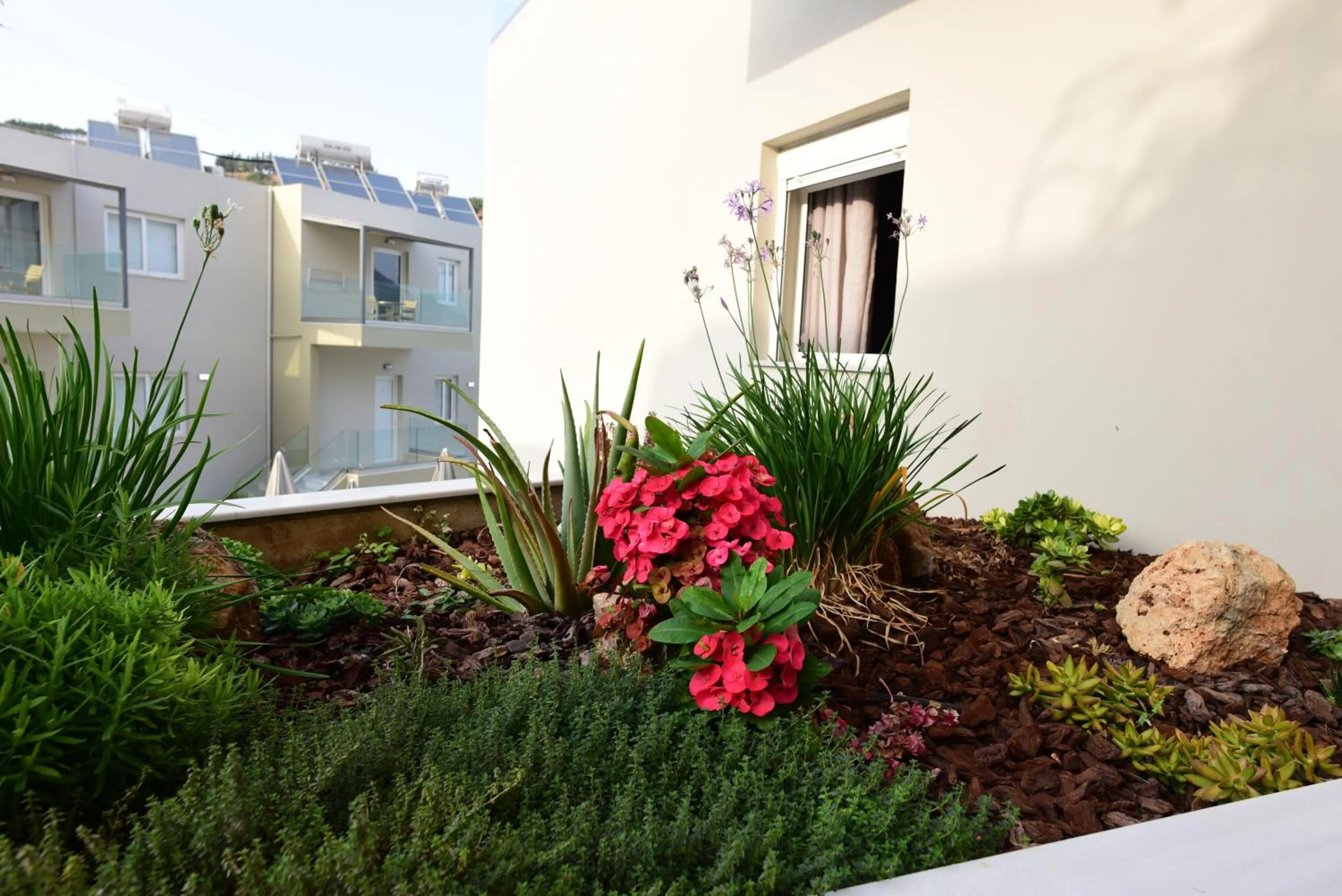 Property building in Blue Horizon Apartments