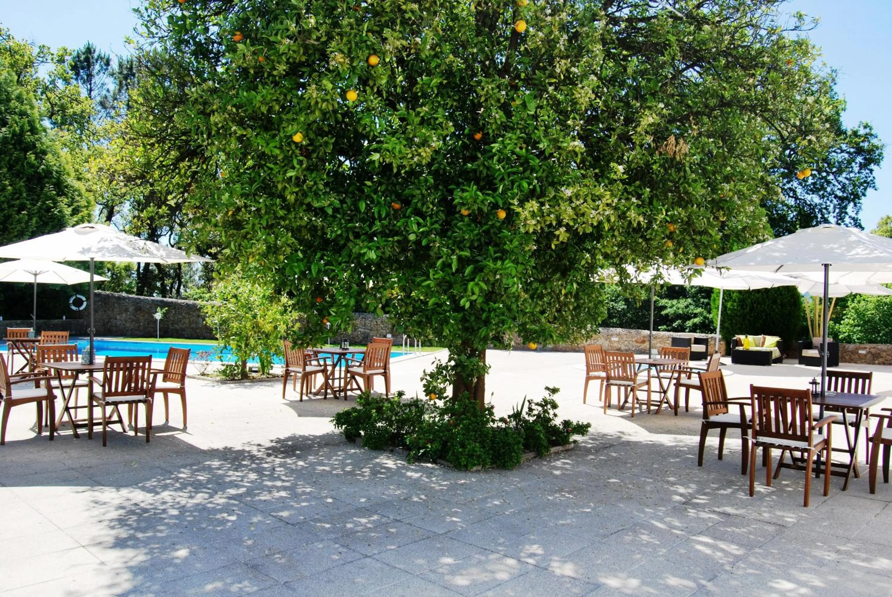 Garden in Hotel Quinta Progresso