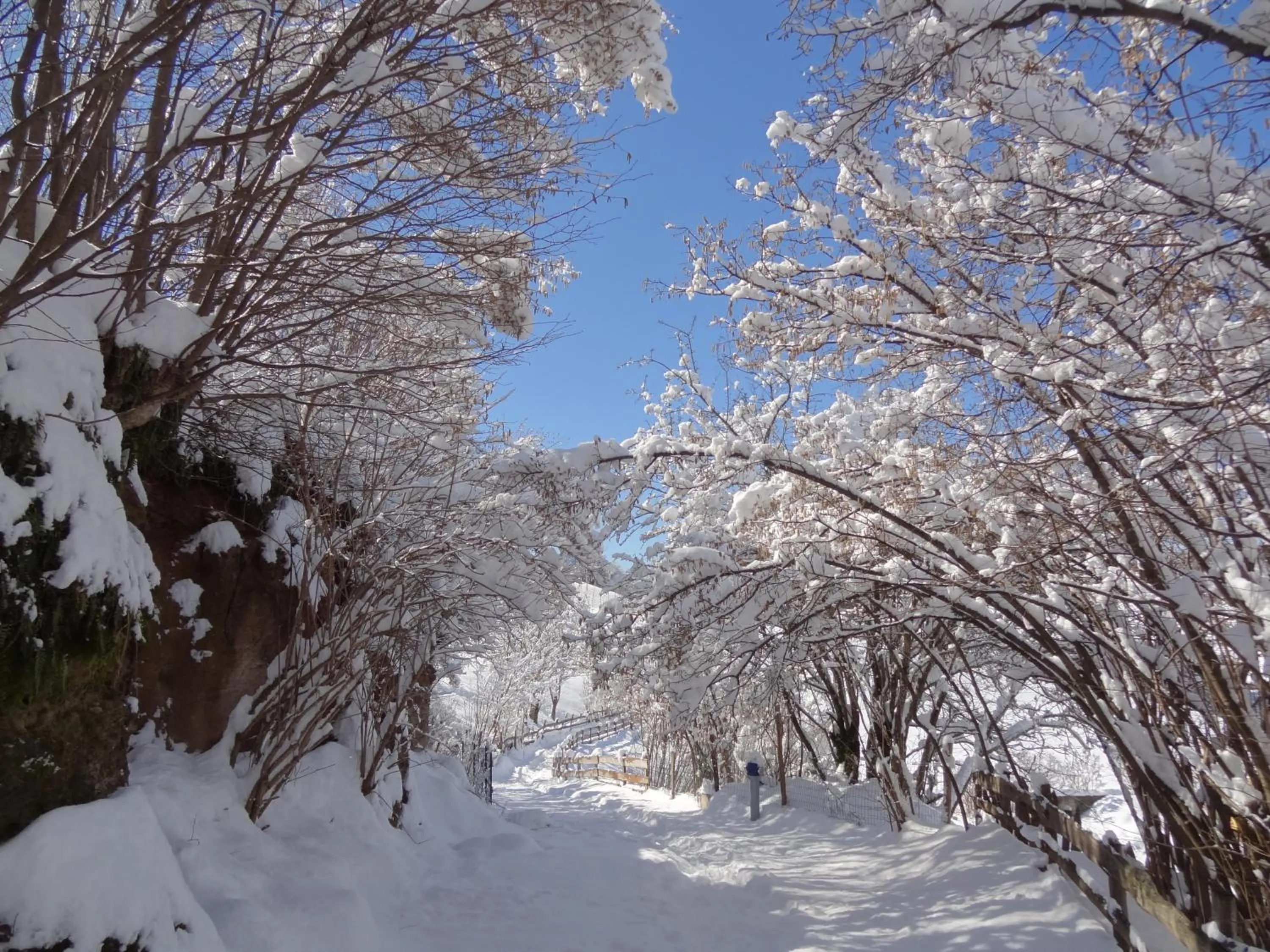 Area and facilities in Hotel Castel Oswald von Wolkenstein