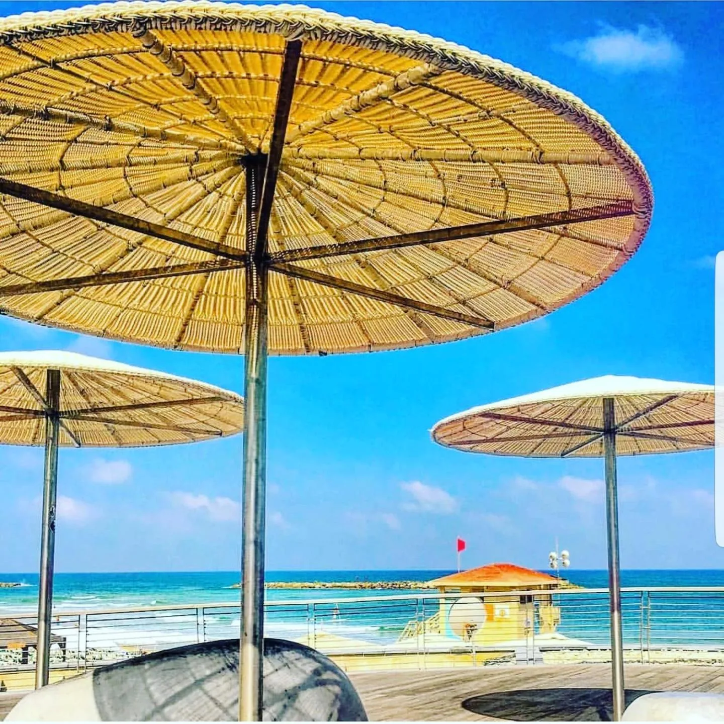 Day in Central Hotel