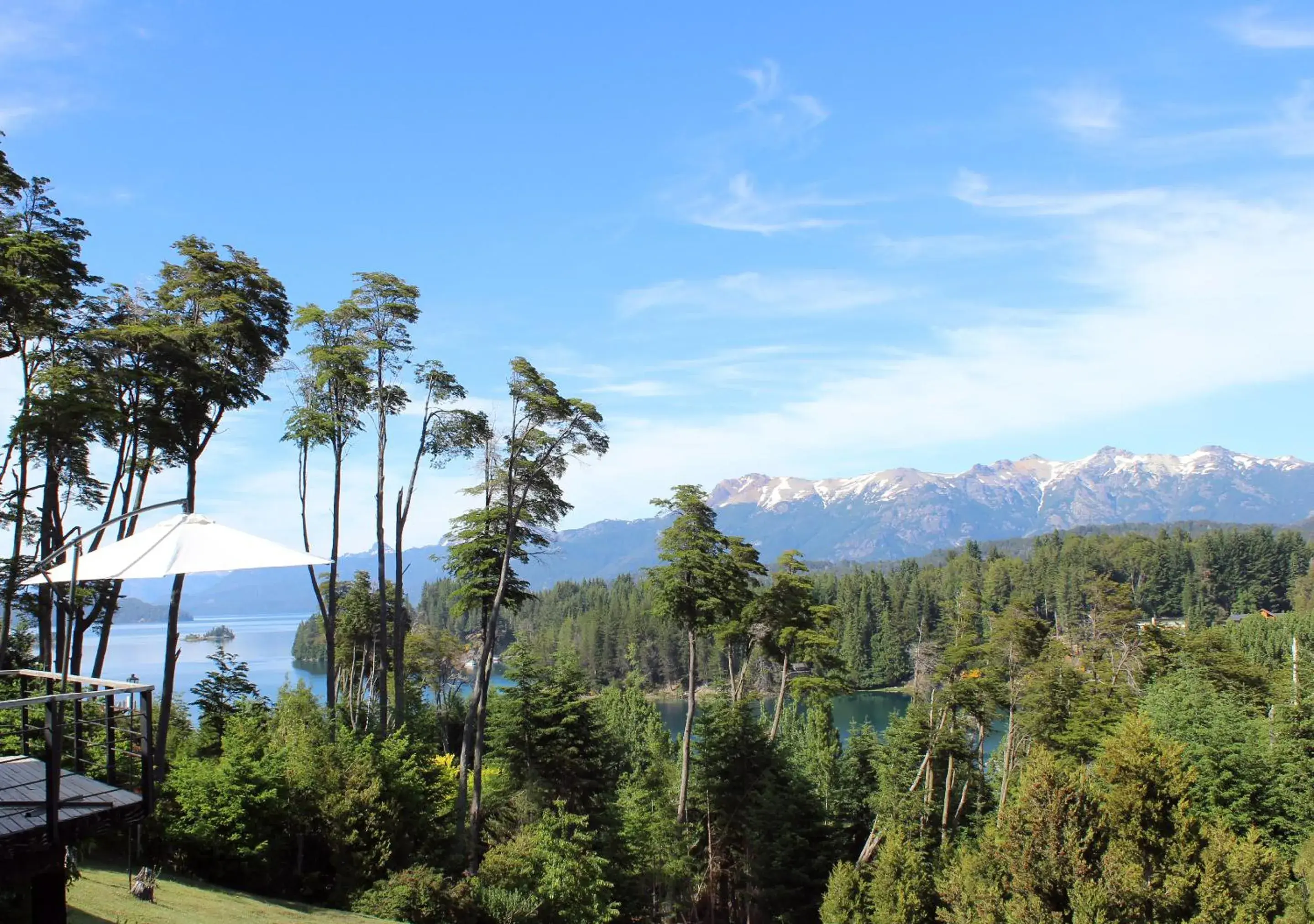 El Bosque by DOT Tradition El Bosque by DOT Tradition