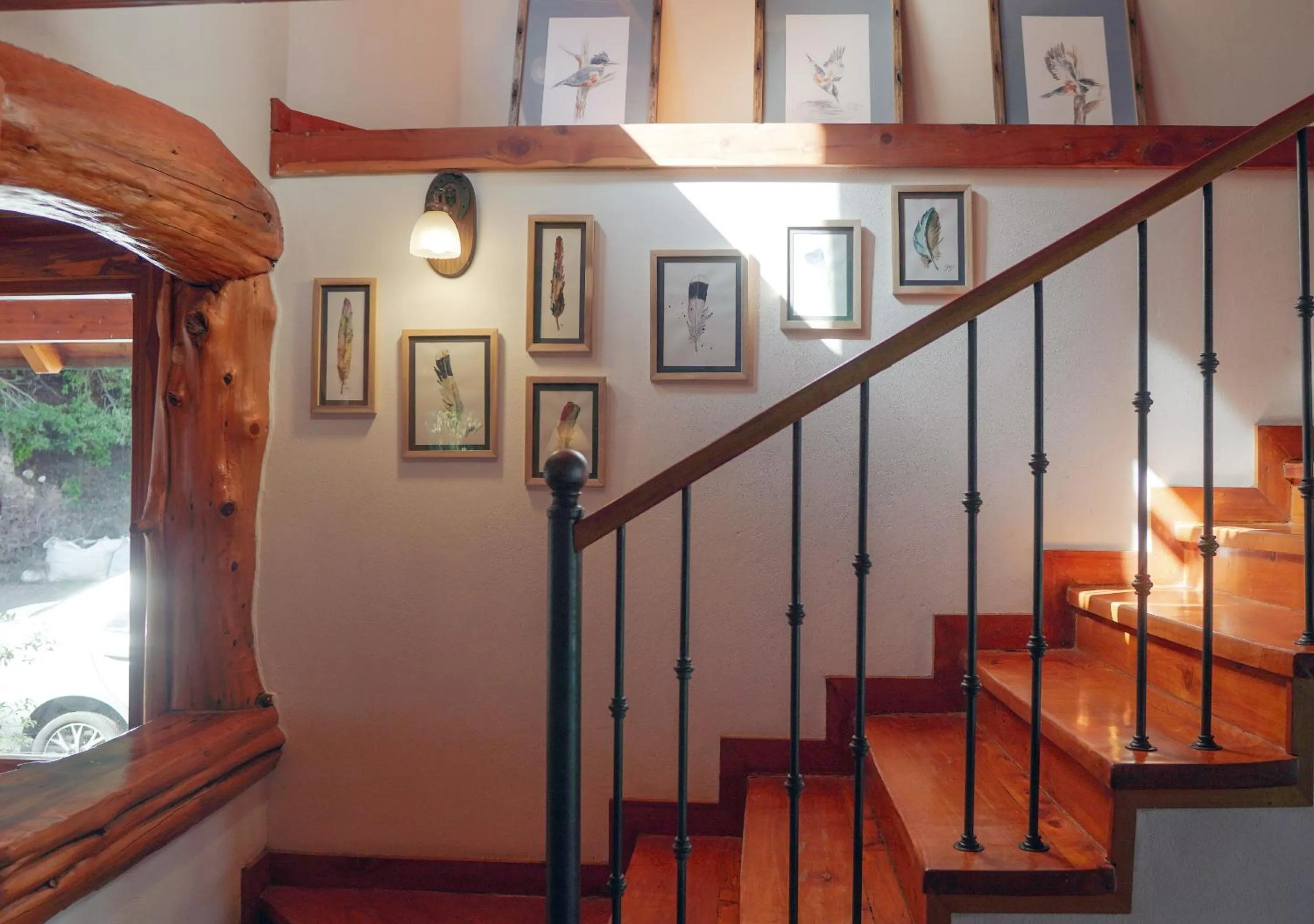 Area and facilities in El Bosque by DOT Tradition