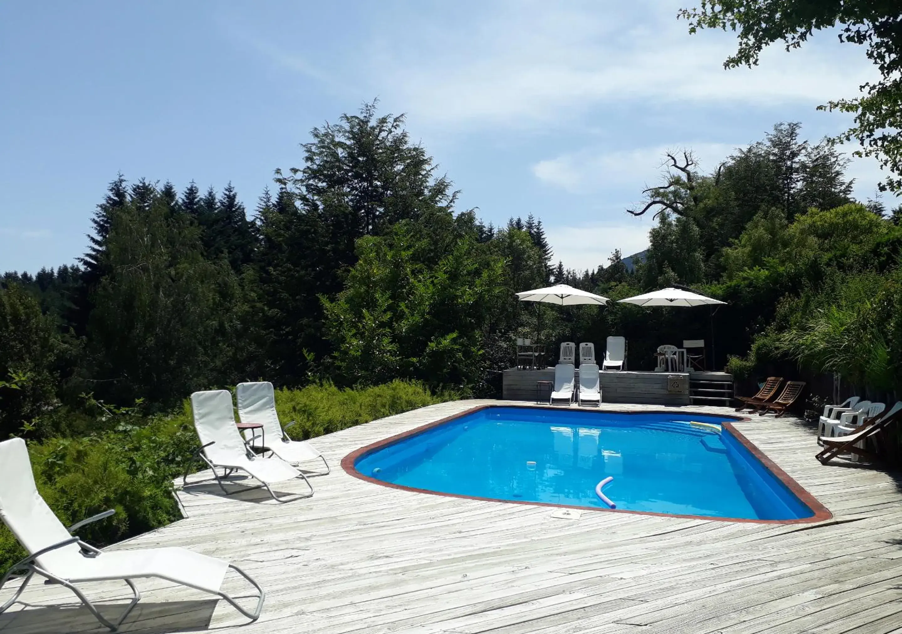 El Bosque by DOT Tradition El Bosque by DOT Tradition