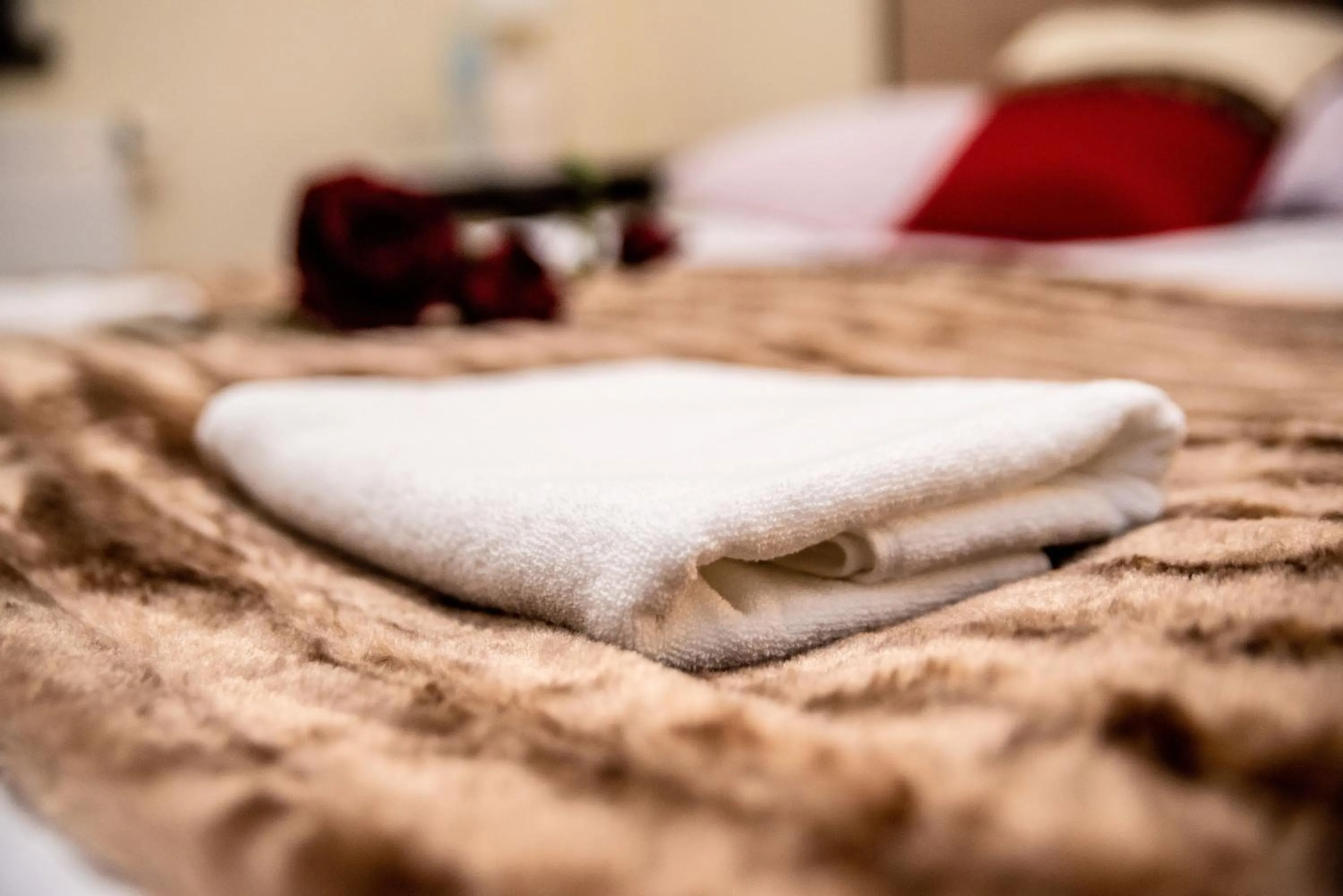 Hotel Artur