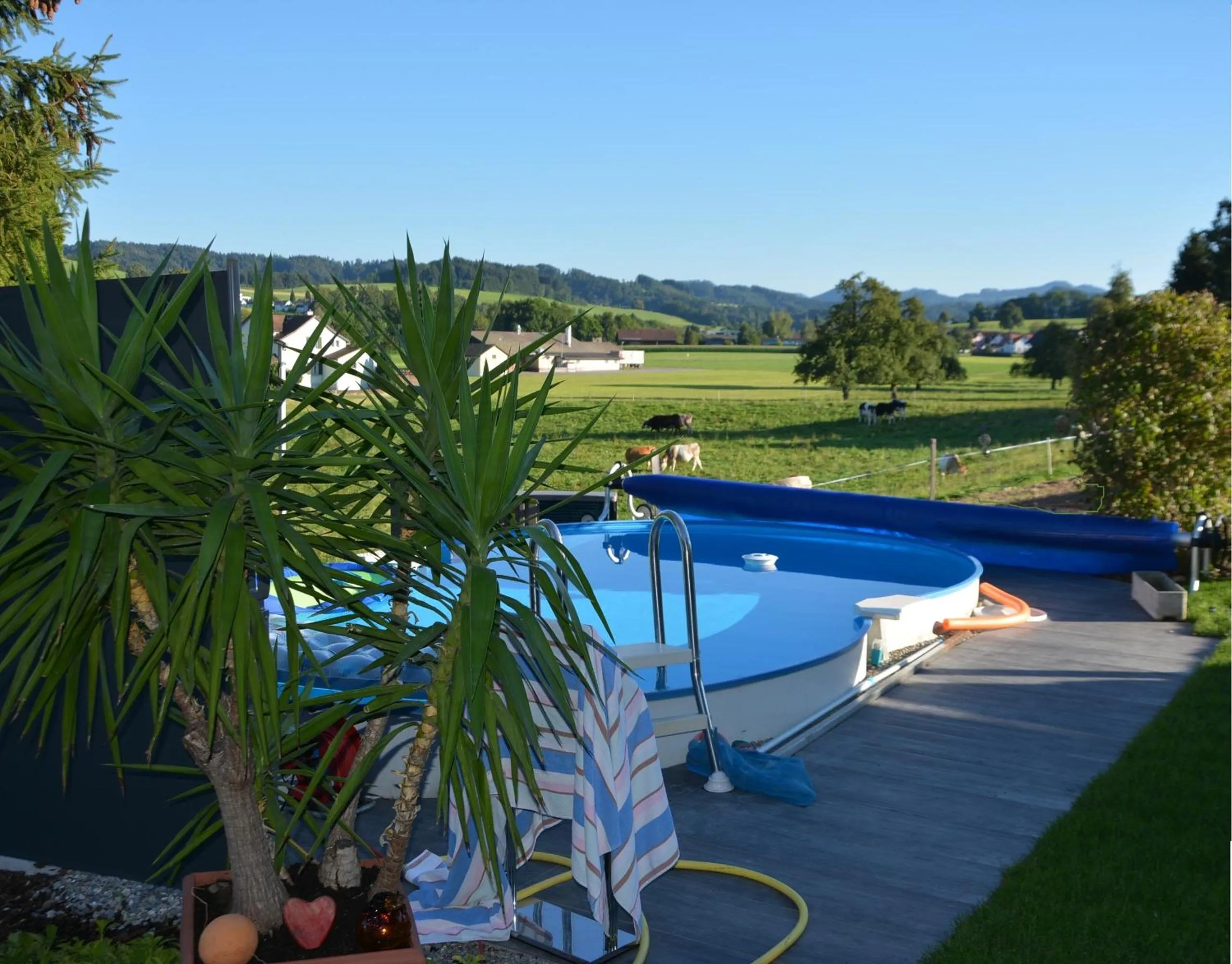 Pool view in BnB Sirnach