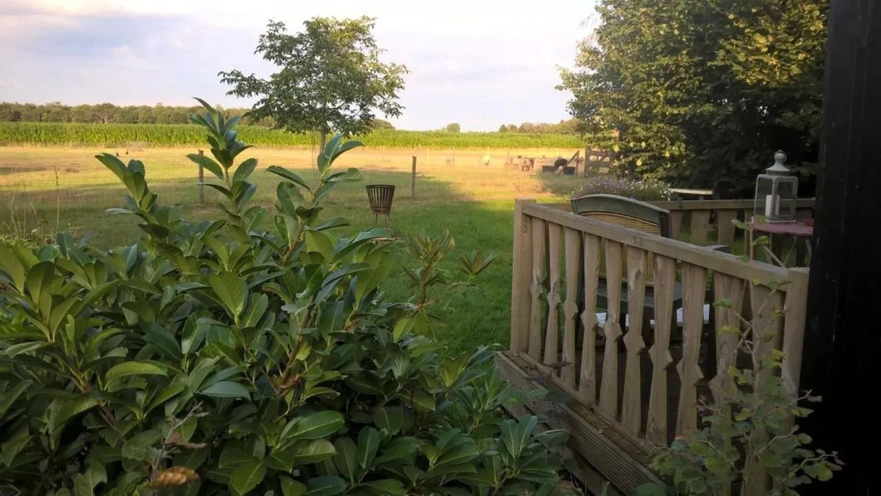Pipowagen Lidewei Groningen Westerwolde unieke ligging met eigen tuin en vrij uitzicht over veld naar natuurgebied