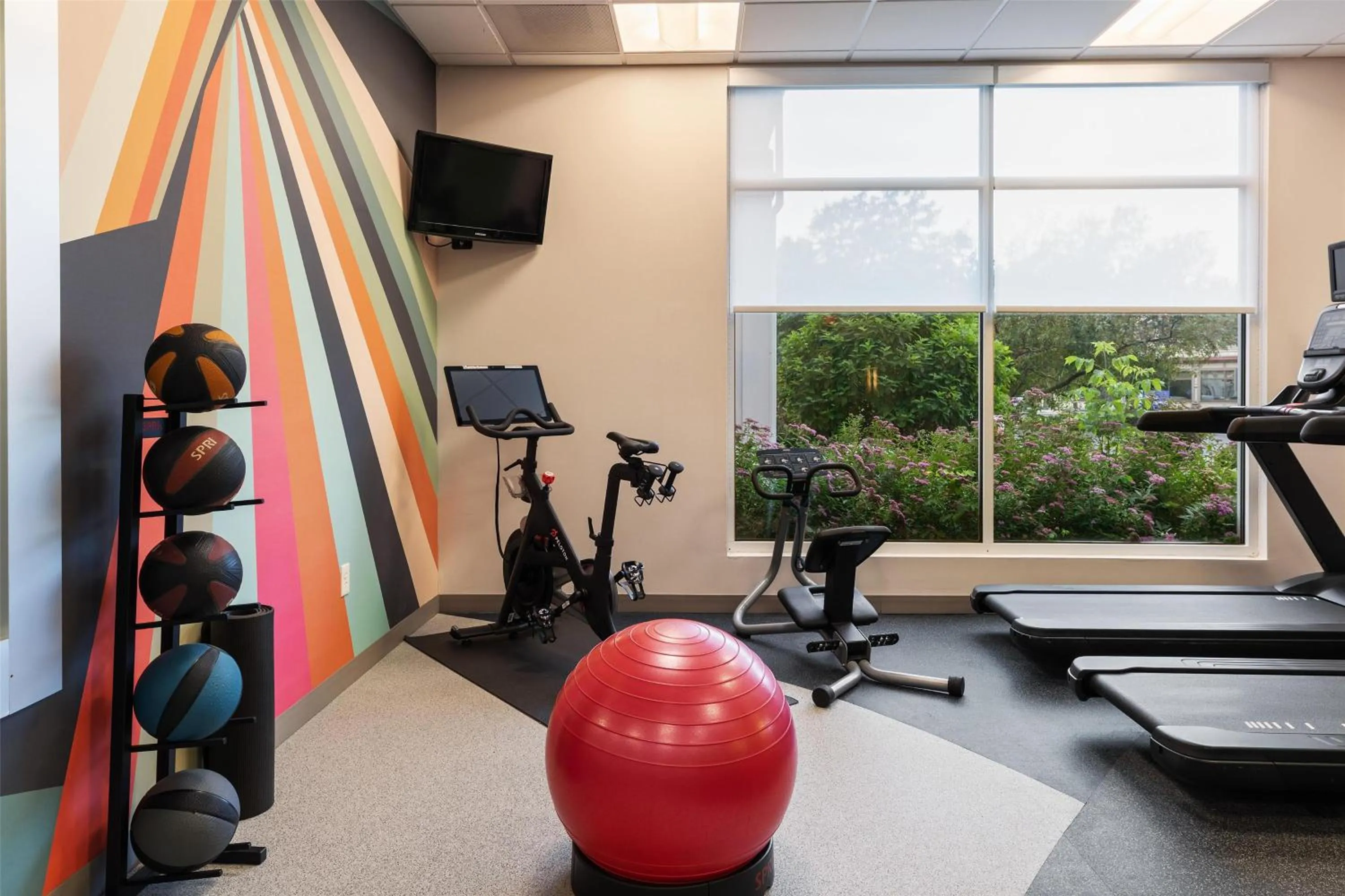 Fitness centre/facilities in Hilton Garden Inn Auburn