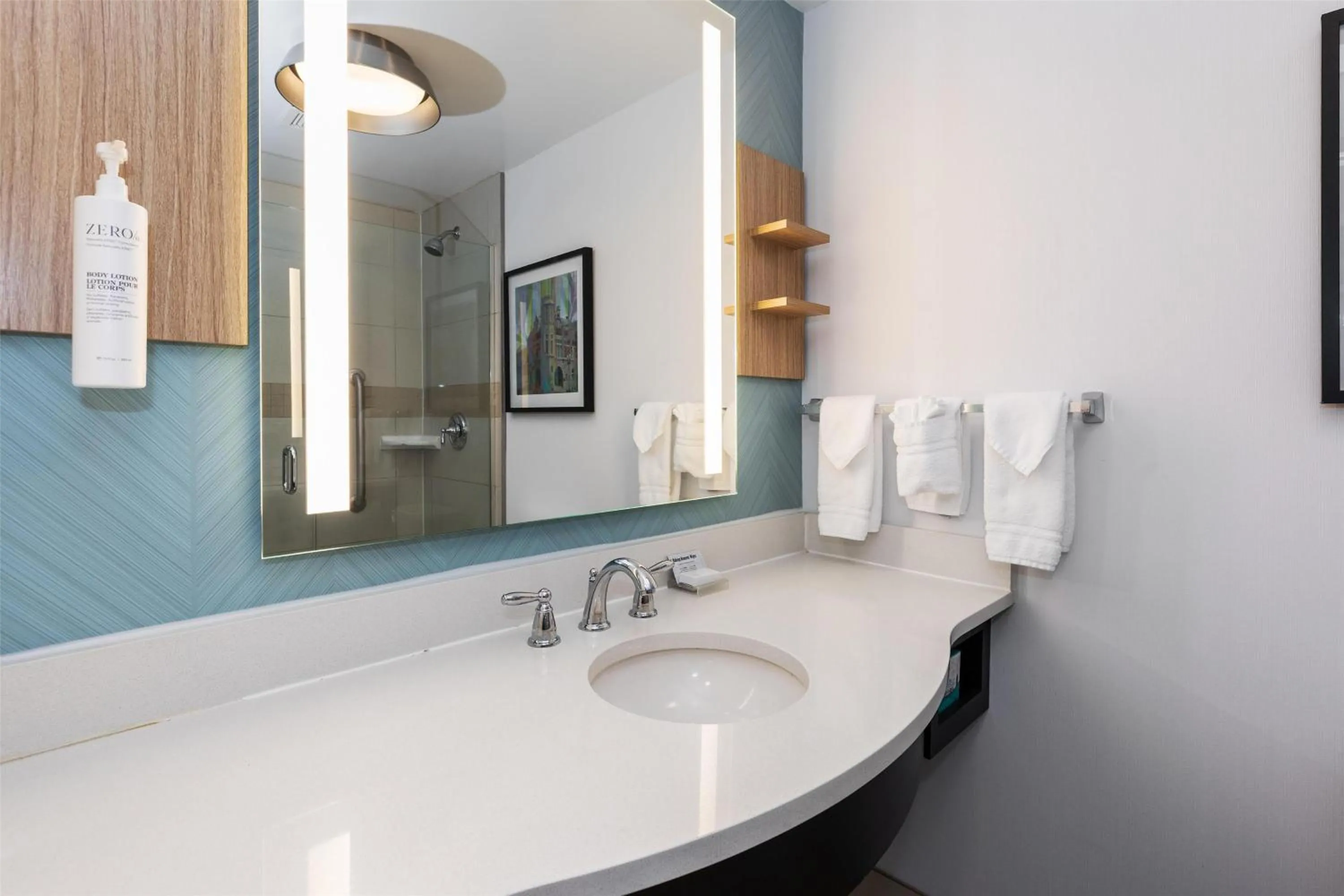 Bathroom in Hilton Garden Inn Auburn