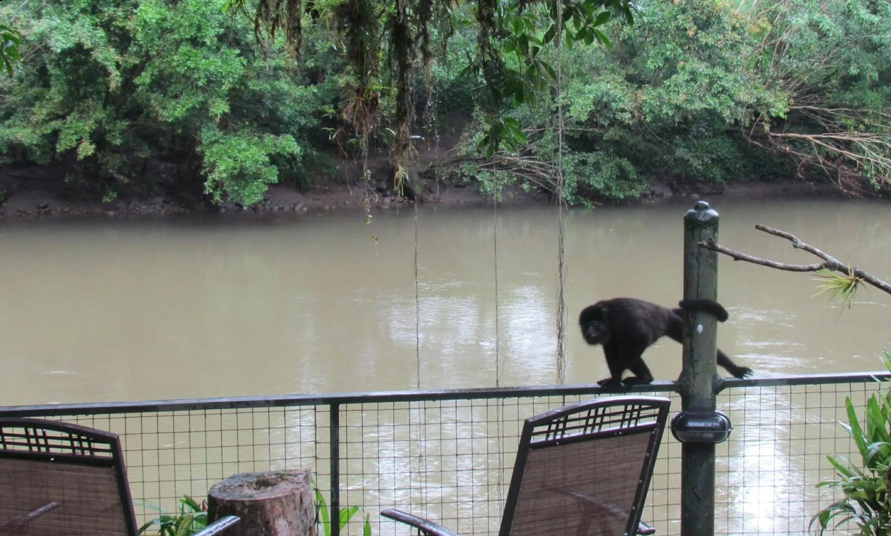 View (from property/room) in Heliconia Island