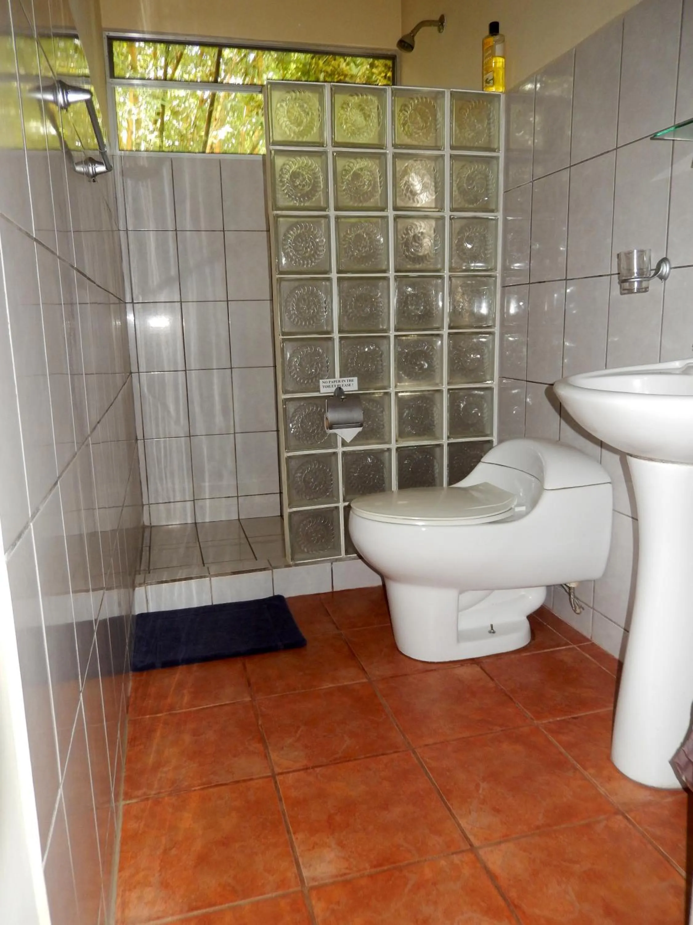 Toilet in Heliconia Island