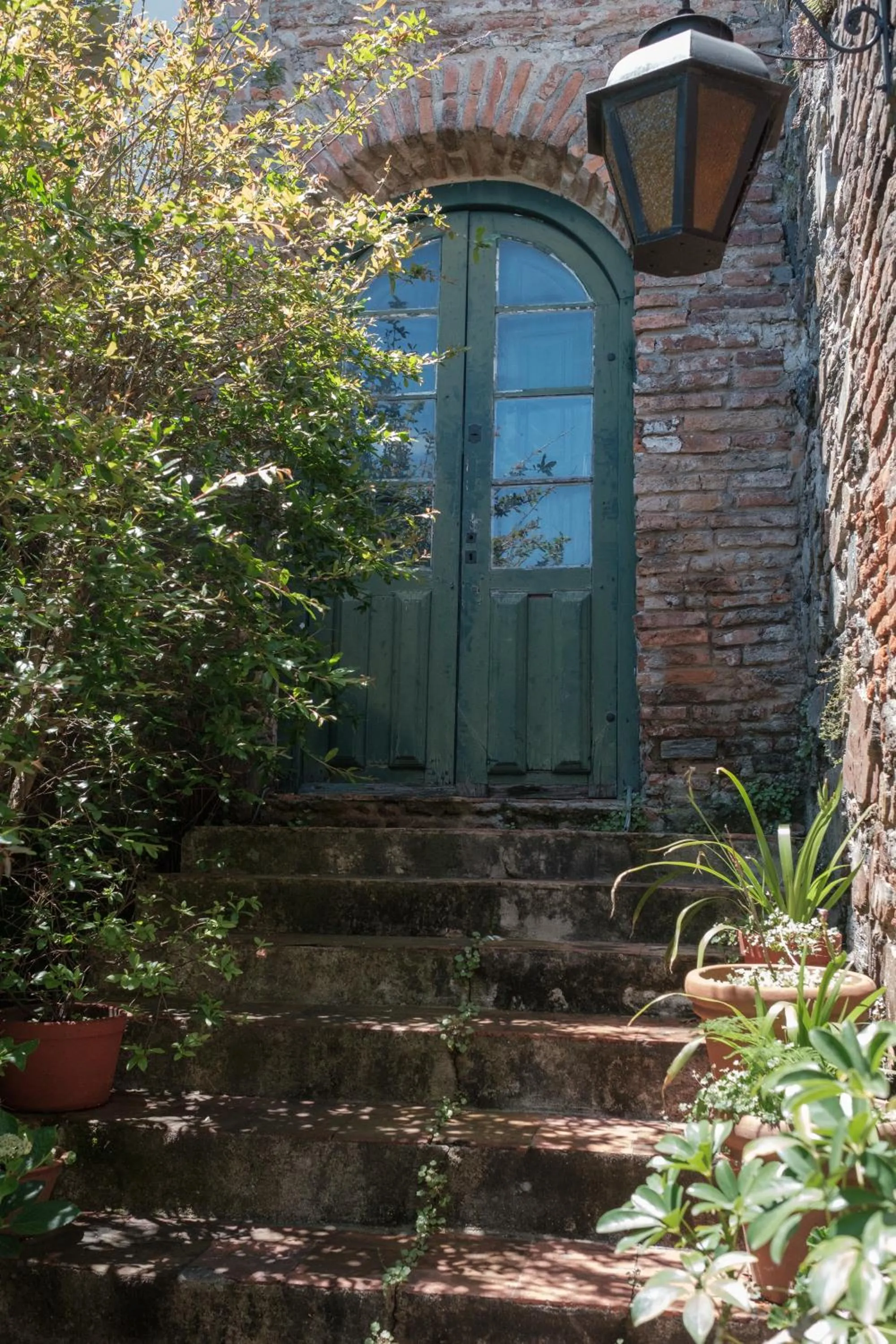 Garden in Posada Plaza Mayor