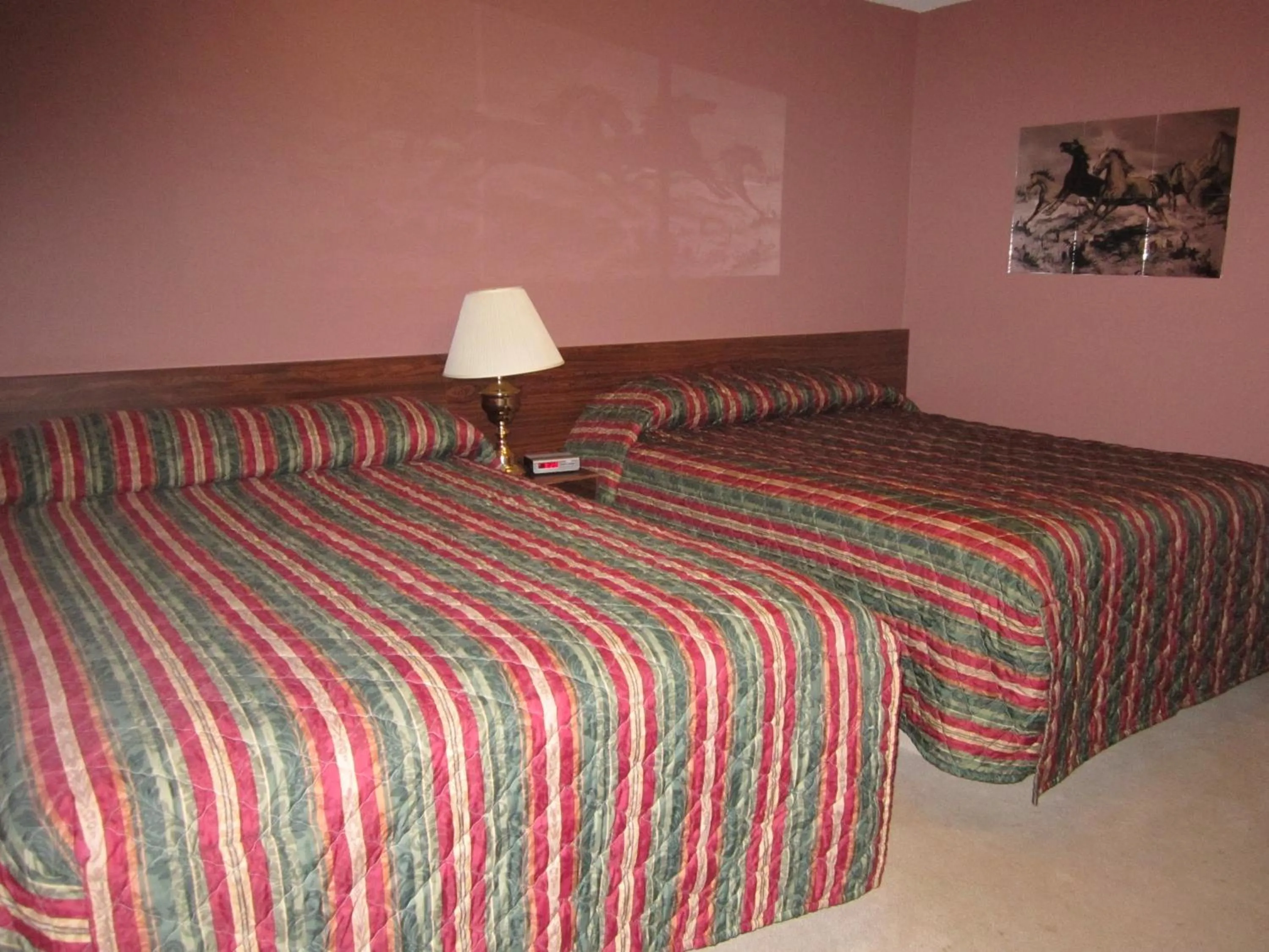 Bed in Viking Lamplighter Motel