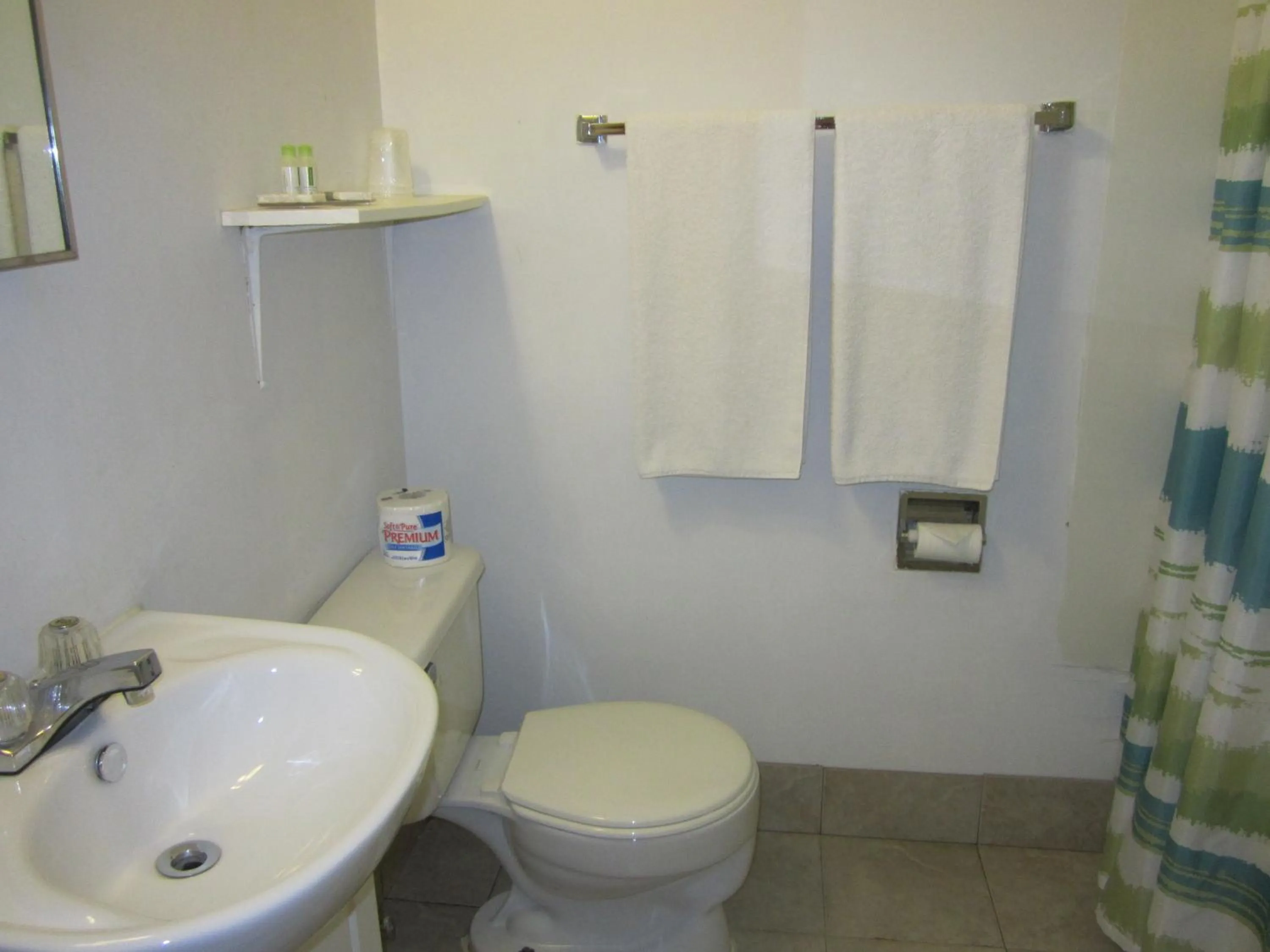 Bathroom in Viking Lamplighter Motel