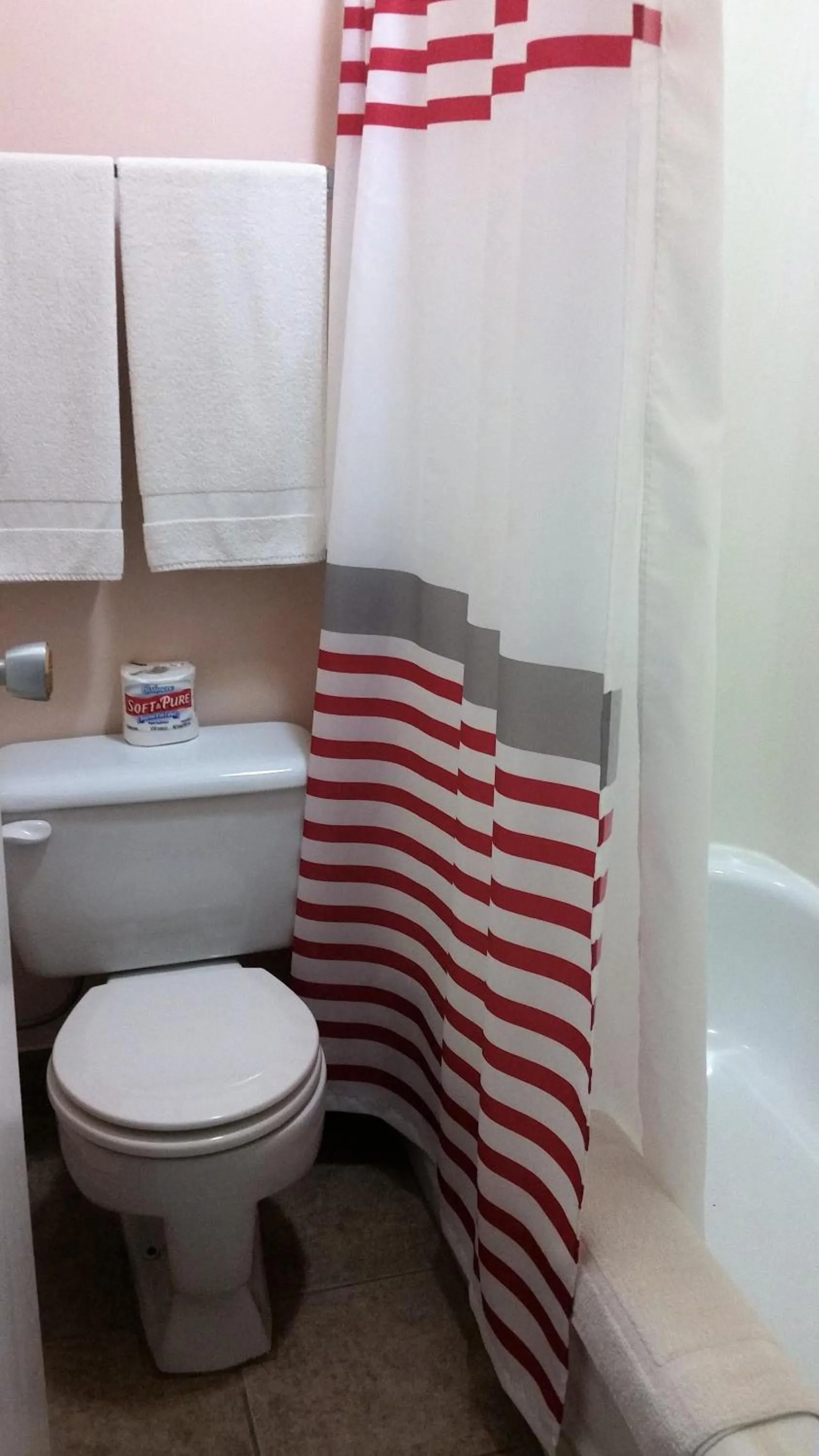 Bathroom in Viking Lamplighter Motel