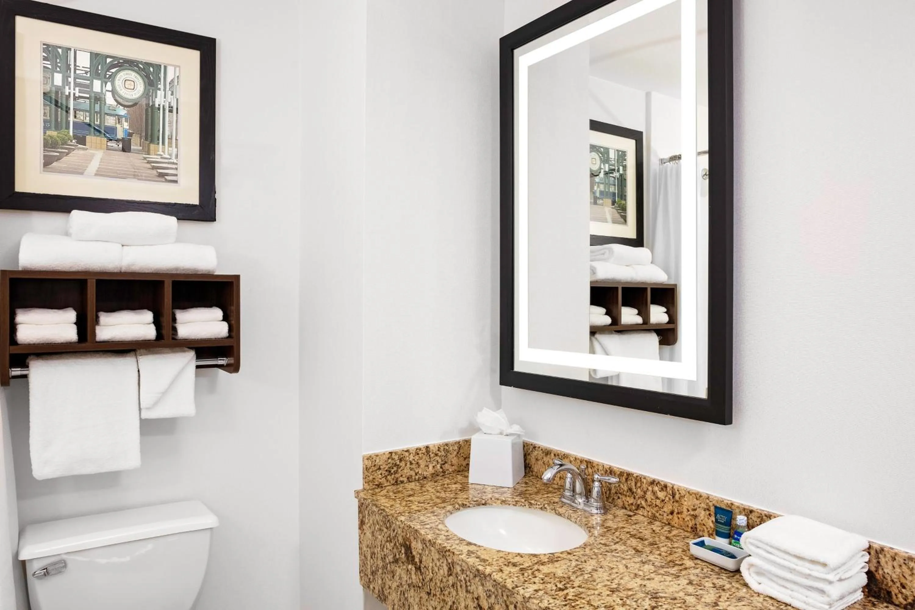 Bathroom in Four Points by Sheraton Memphis East