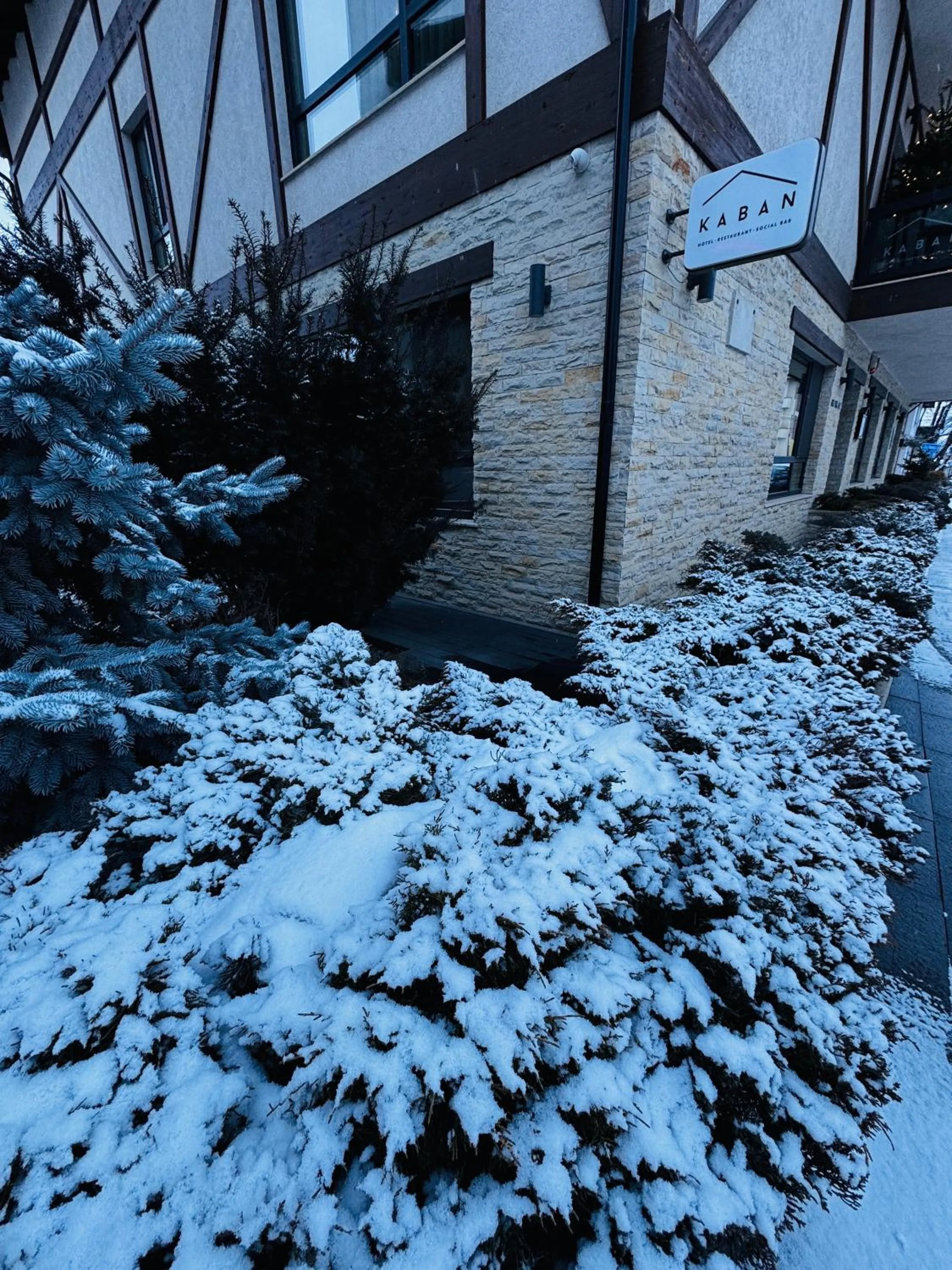 Property building in KABAN BOUTIQUE HOTEL - 5Star Central Villa in Vatra Dornei