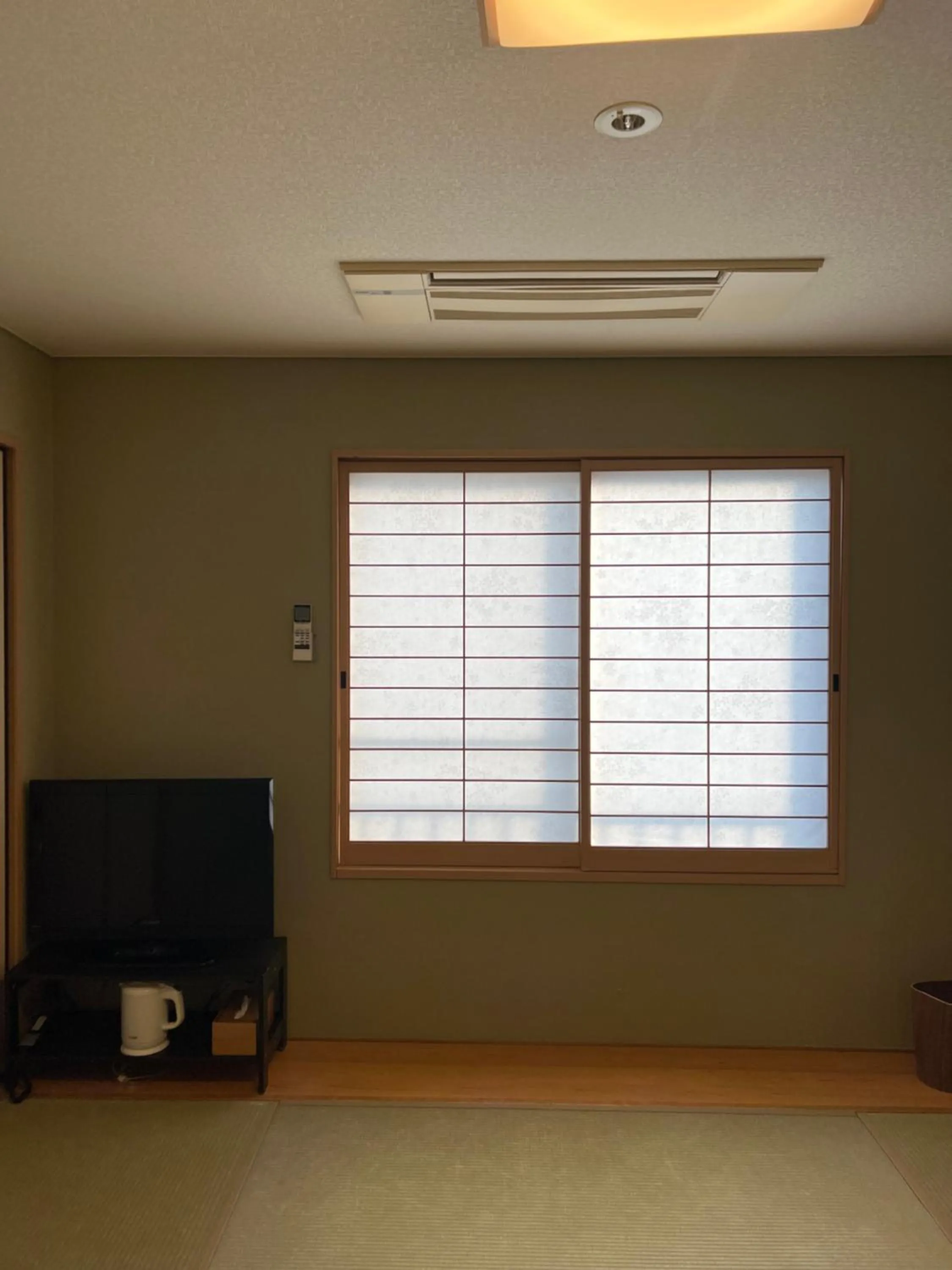 View (from property/room) in Towa Ryokan