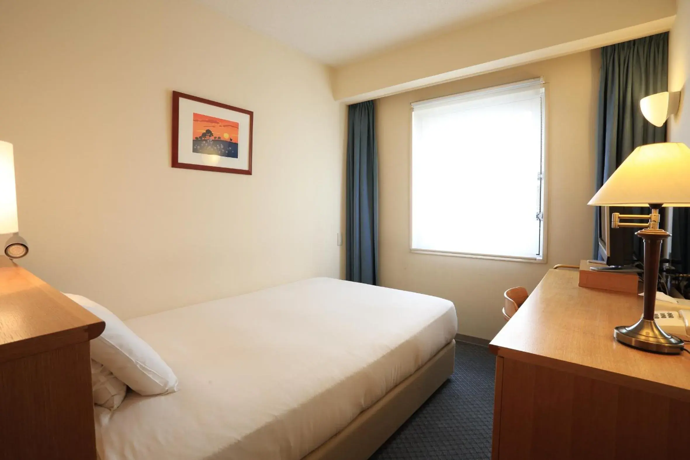 Single Room - Smoking in Smile Hotel Tomakomai Single Room - Smoking in Smile Hotel Tomakomai