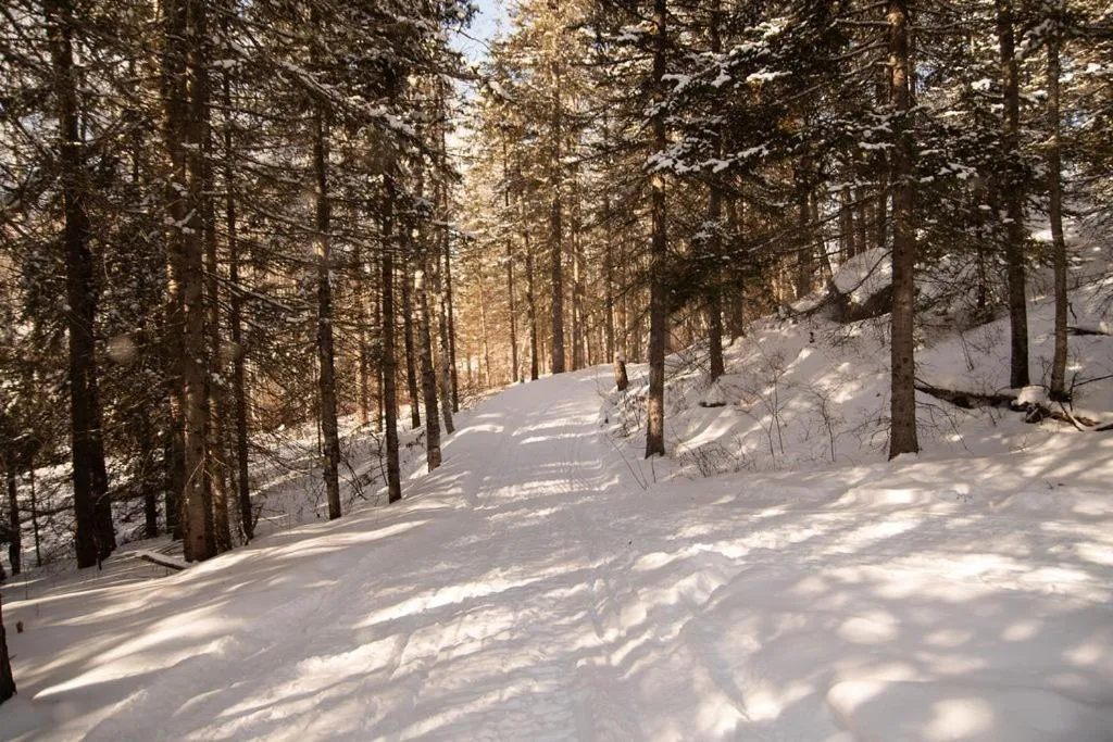 Area and facilities in Les Racines du p'tit Isidore